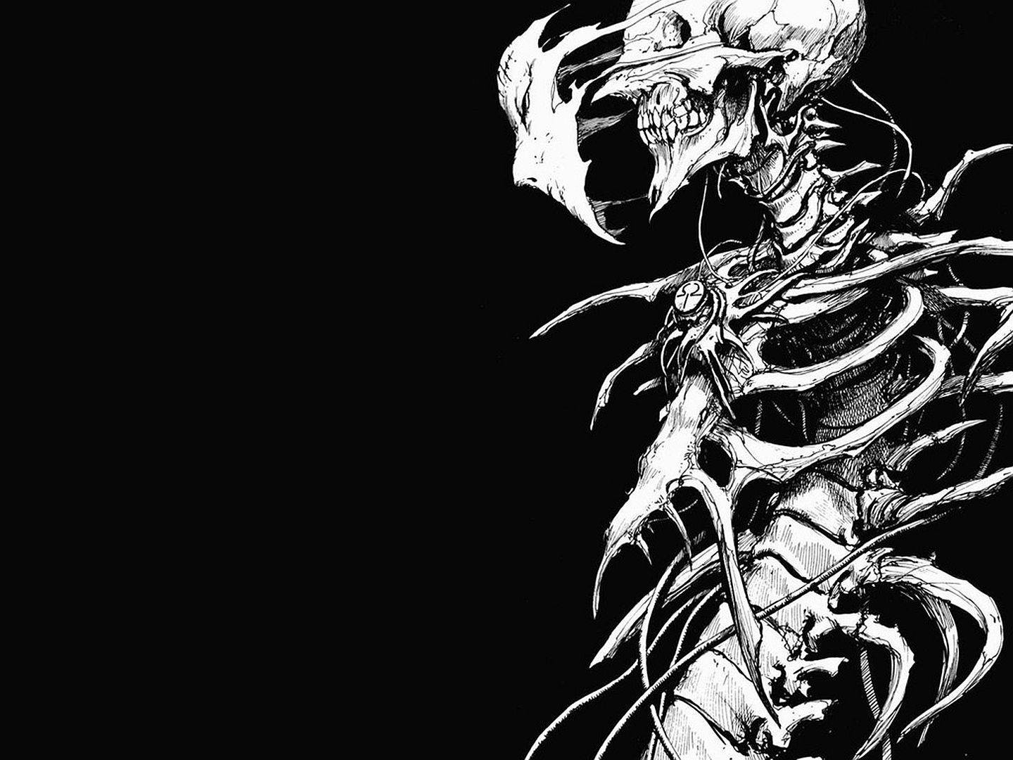 1440X1080 Skeleton Wallpaper and Background