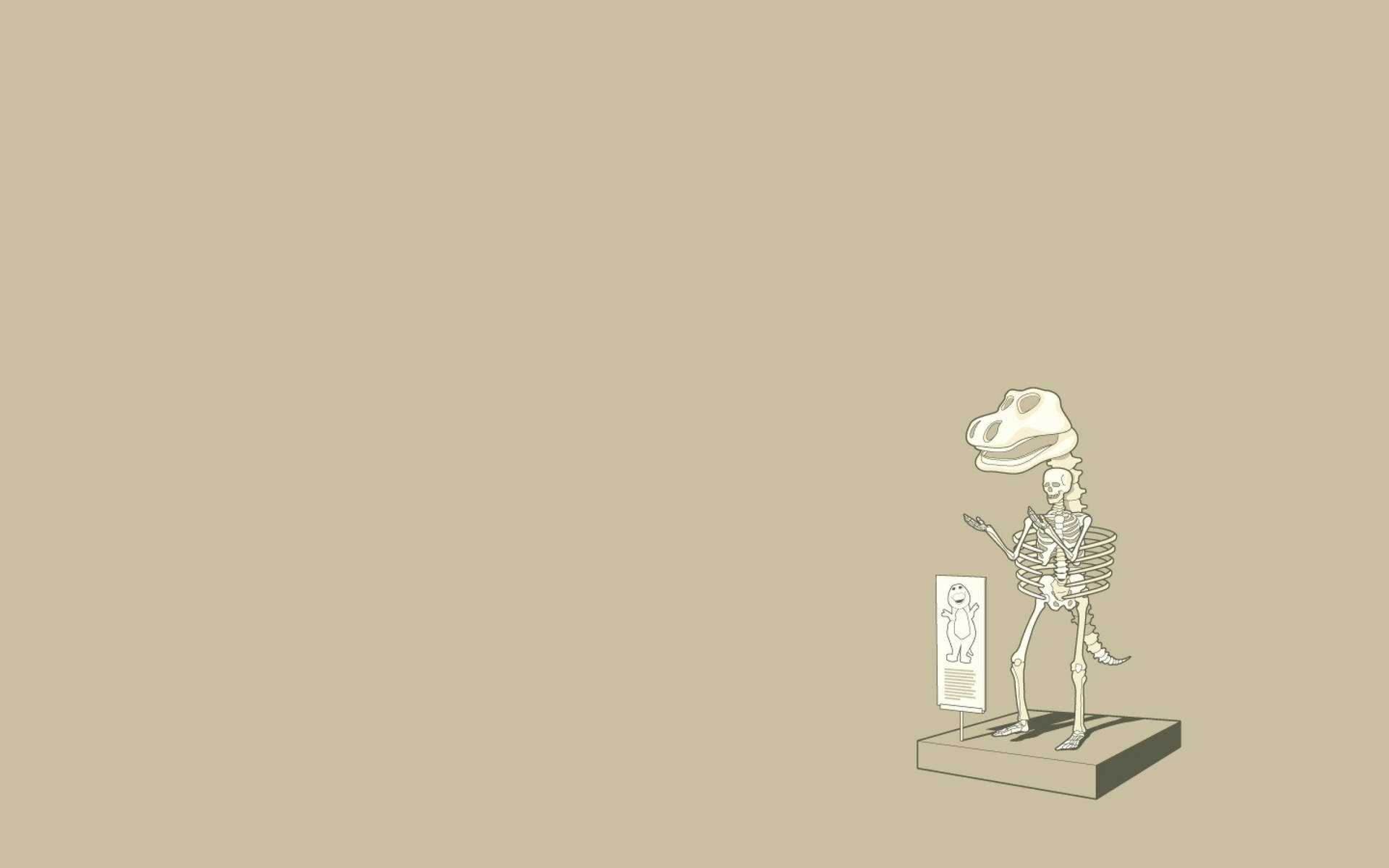 Skeleton 2560X1600 Wallpaper and Background Image