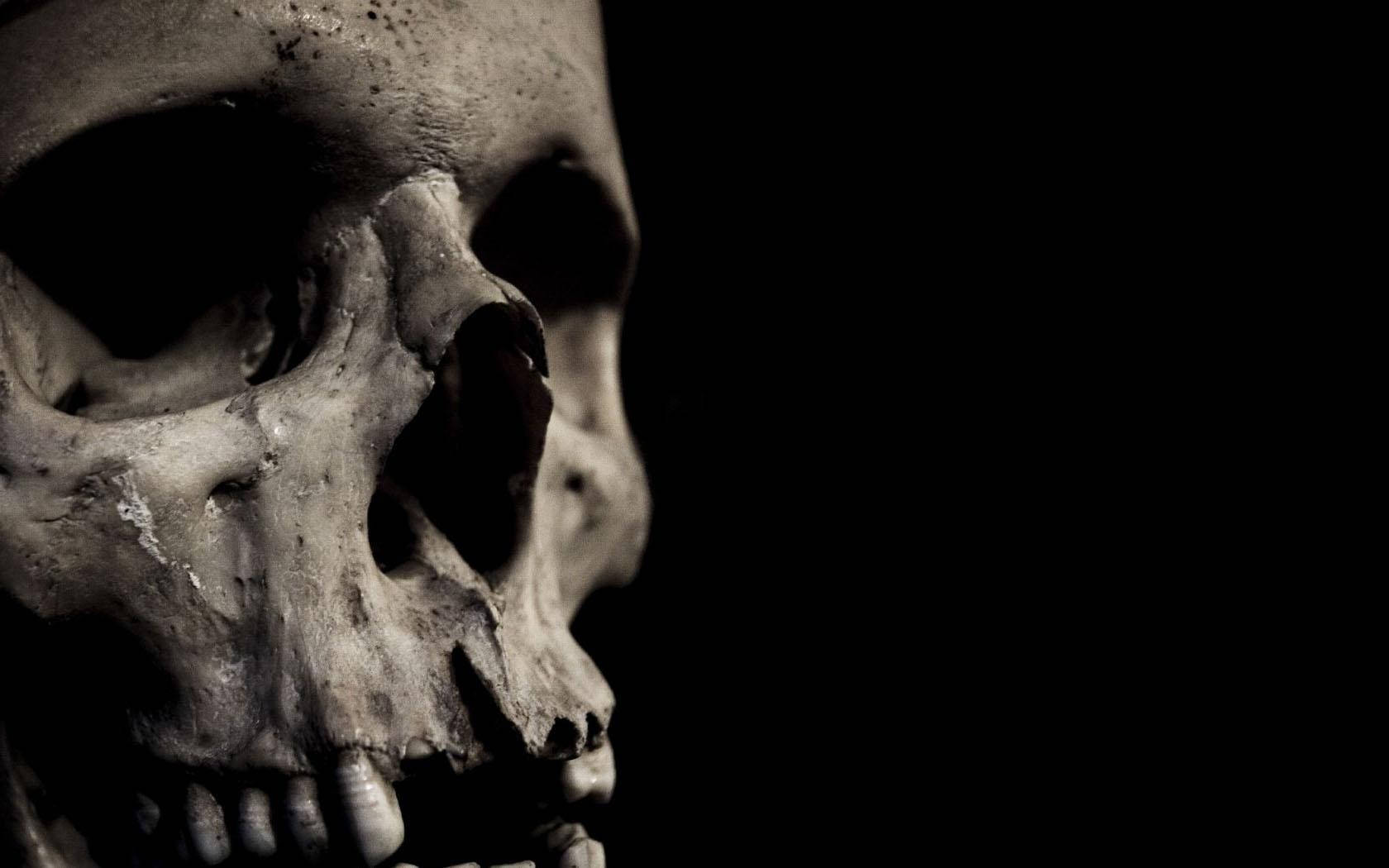 Skull 1680X1050 Wallpaper and Background Image
