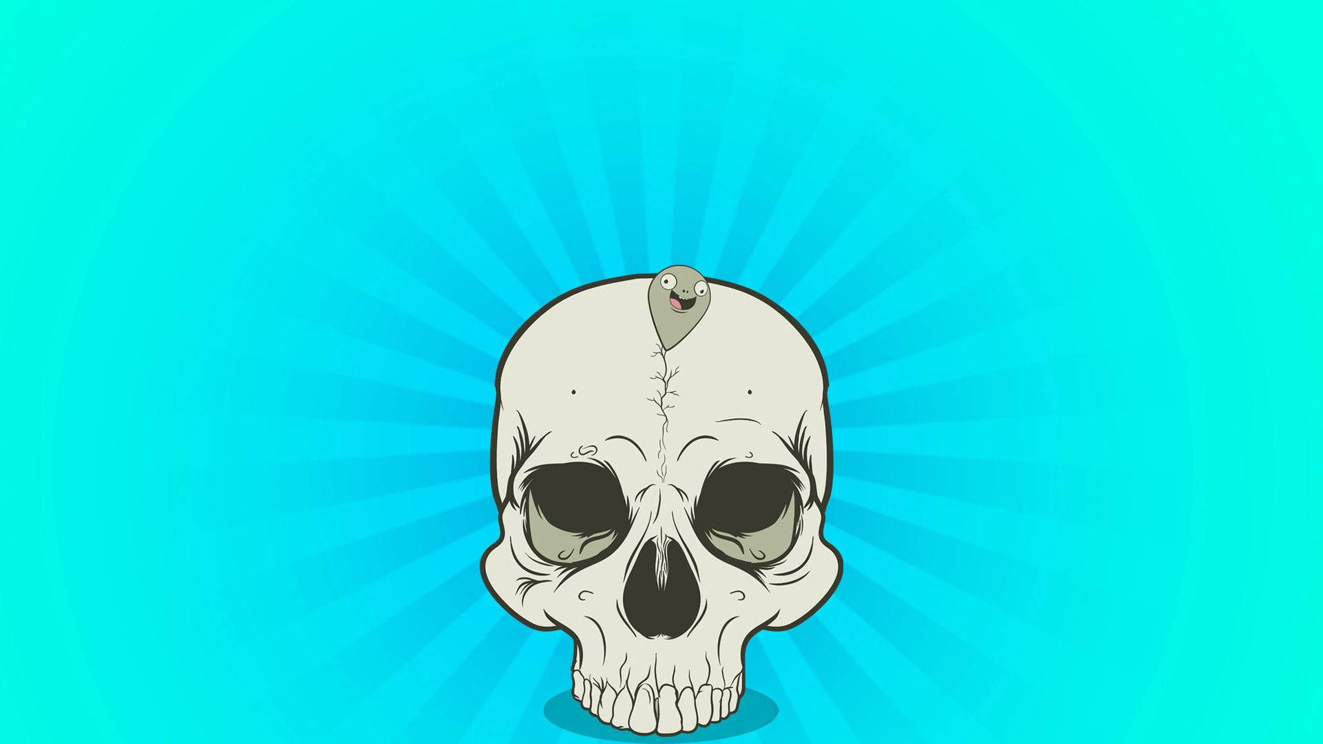 Skull 1920X1080 Wallpaper and Background Image