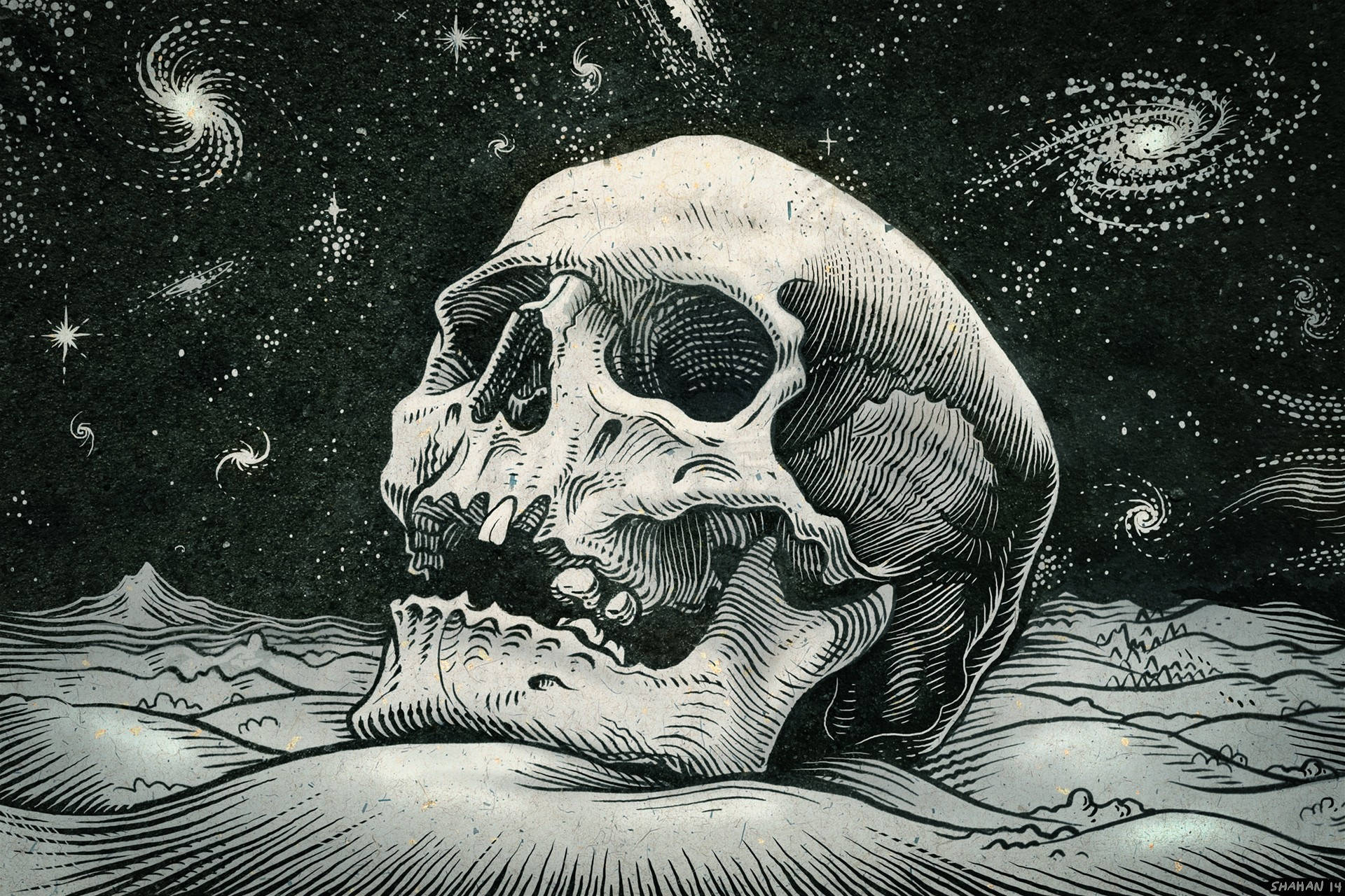 Skull 1920X1280 Wallpaper and Background Image