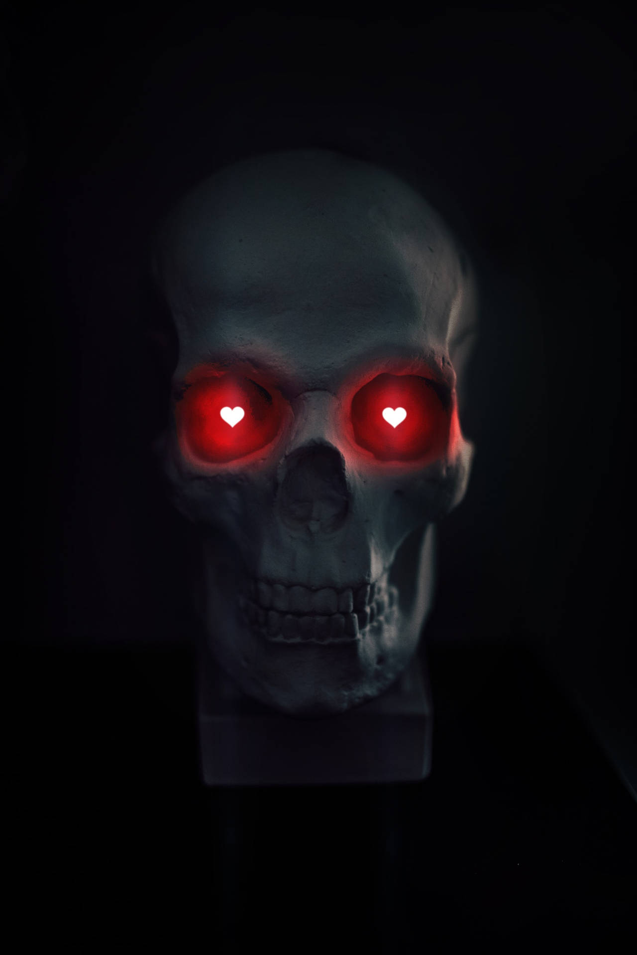 Skull 2000X3000 Wallpaper and Background Image