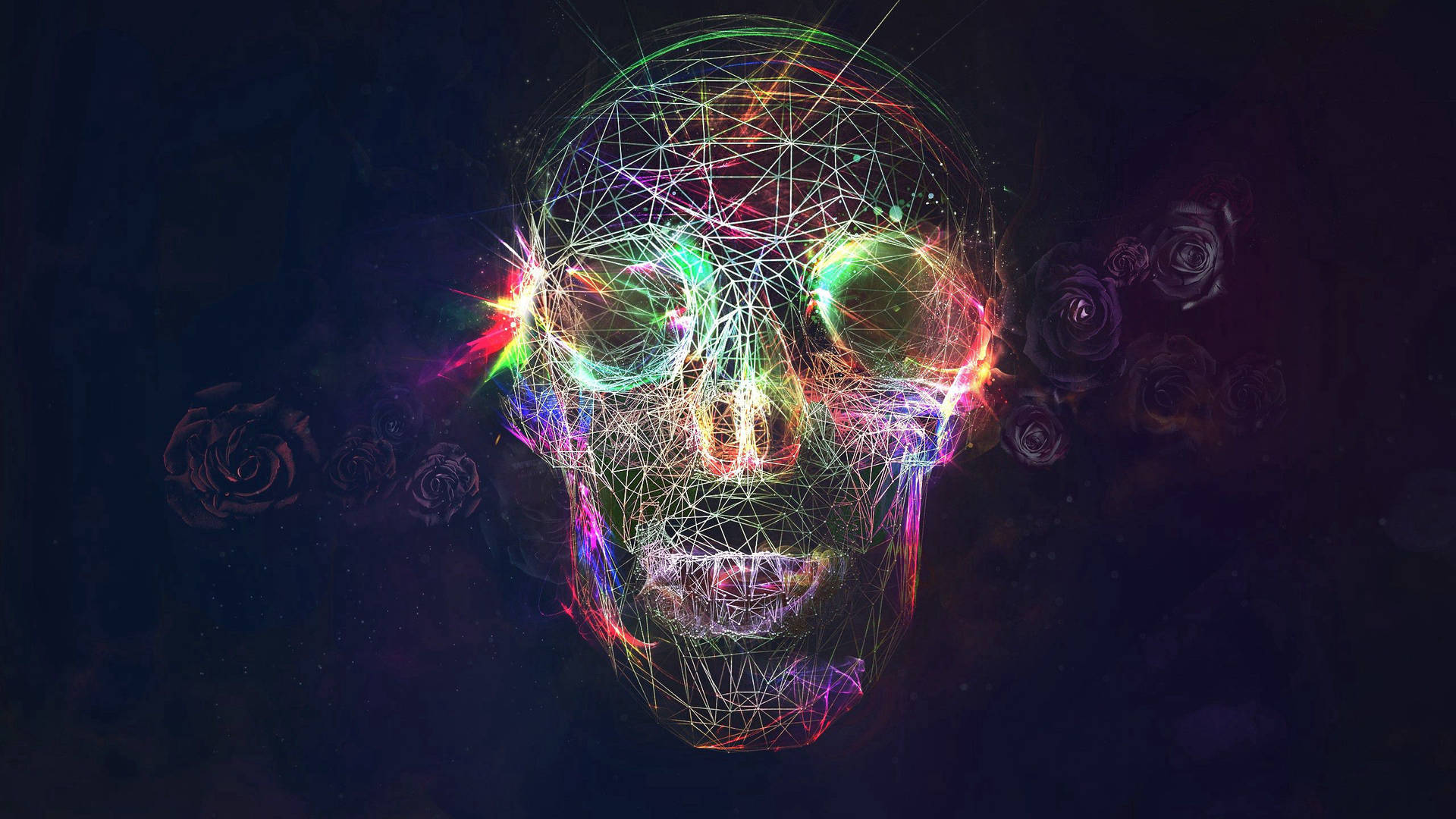 Skull 2560X1440 Wallpaper and Background Image