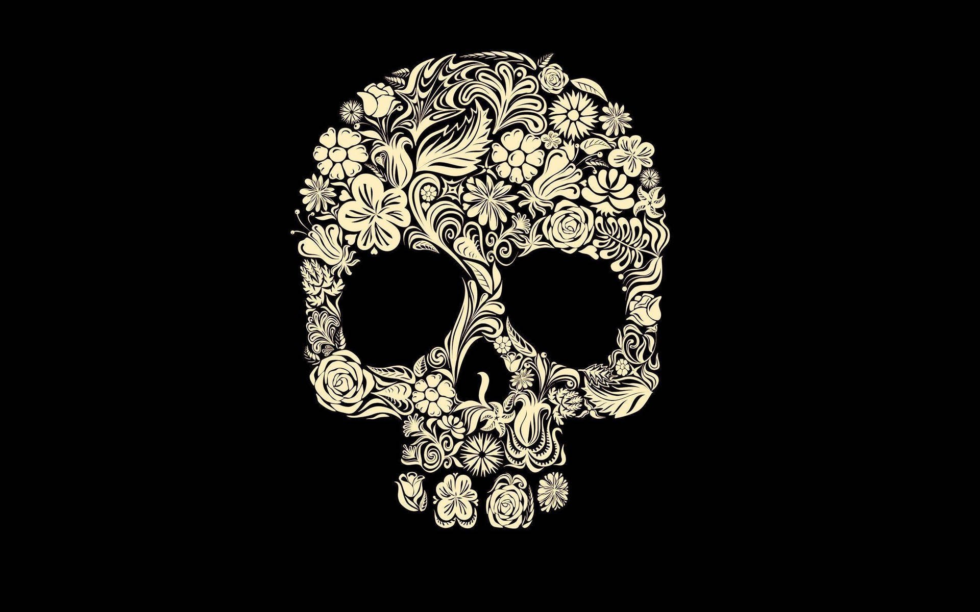 2560X1600 Skull Wallpaper and Background