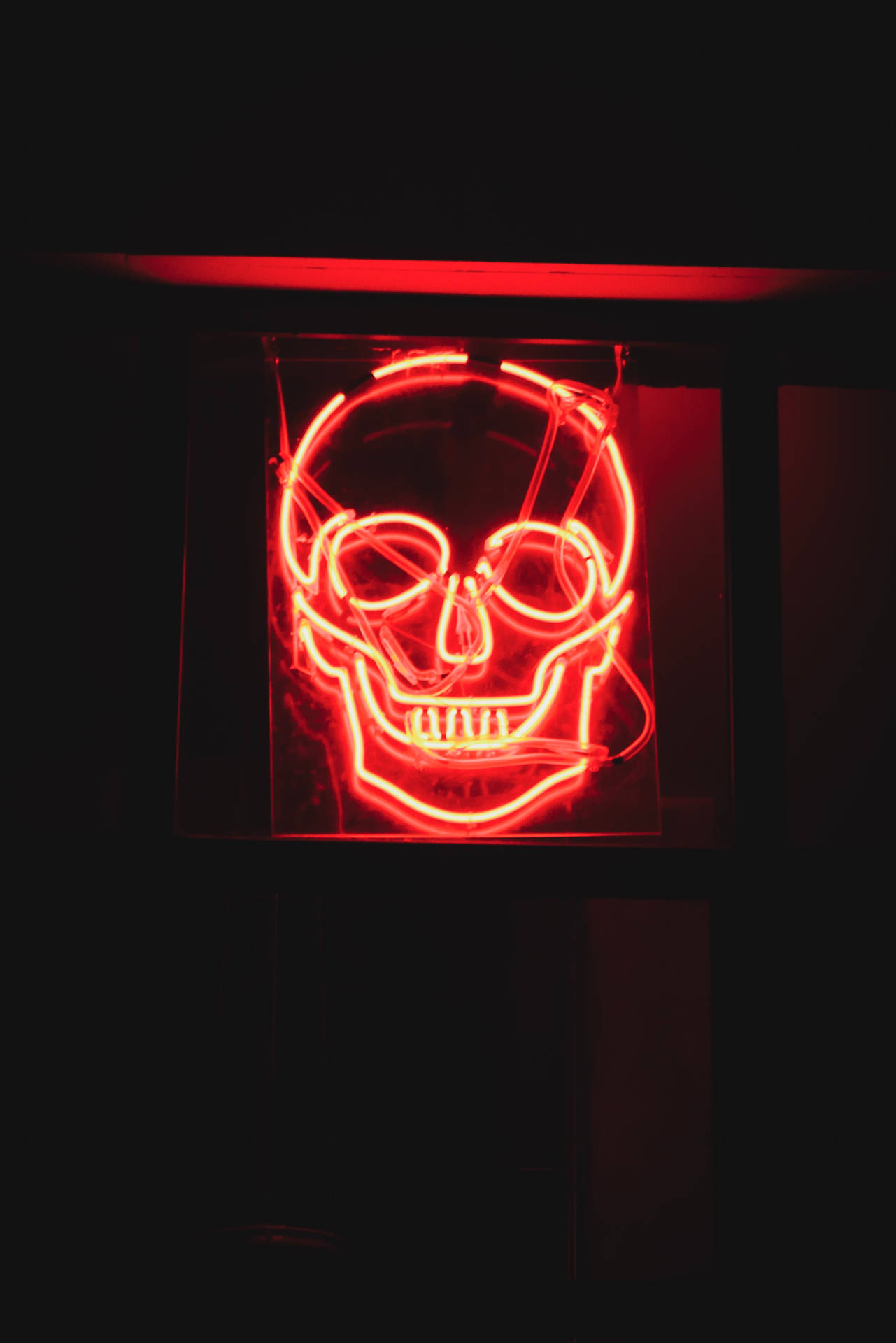 3124X4684 Skull Wallpaper and Background