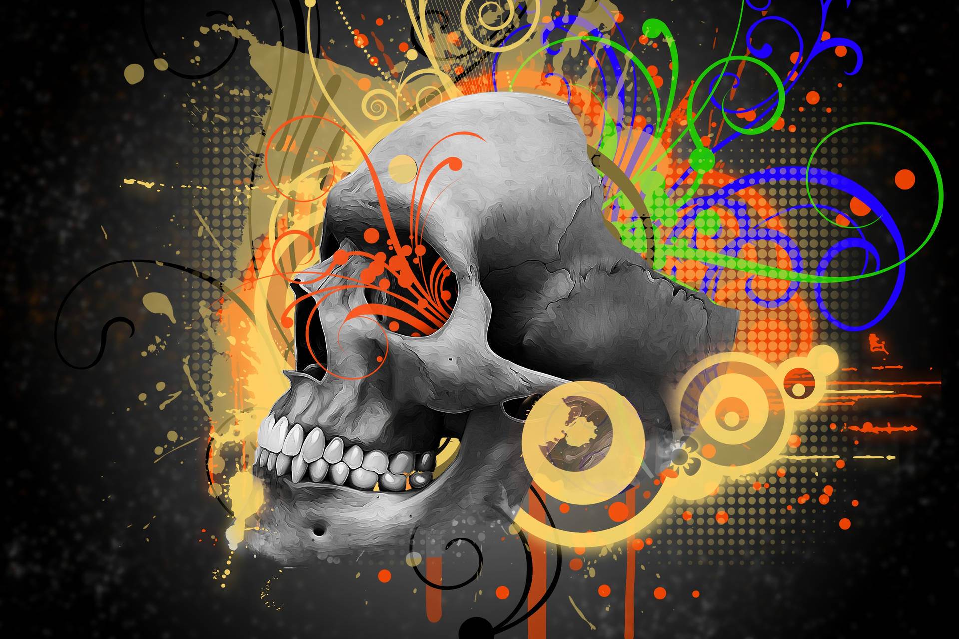 Skull 3840X2560 Wallpaper and Background Image