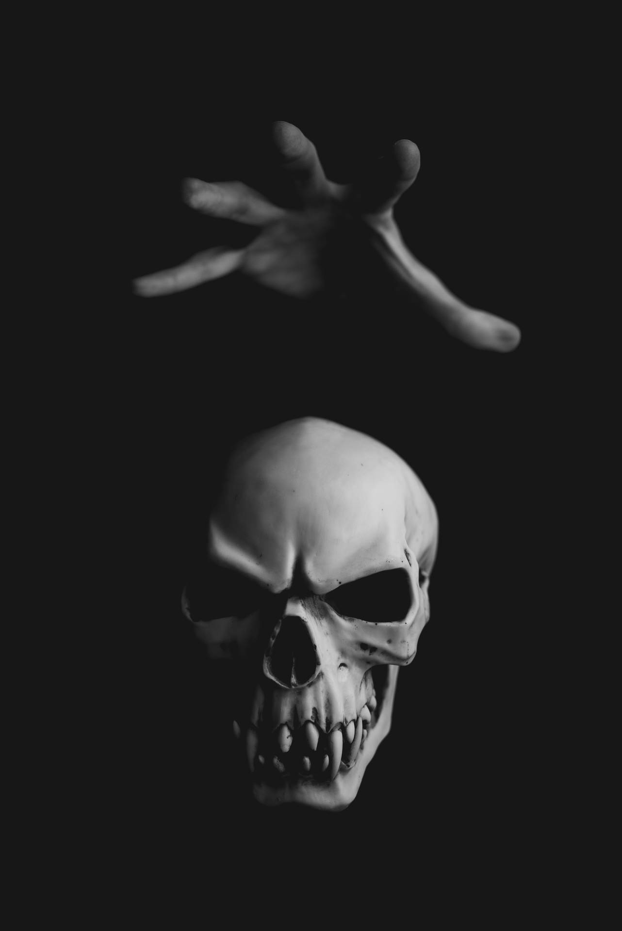 Skull 4016X6016 Wallpaper and Background Image