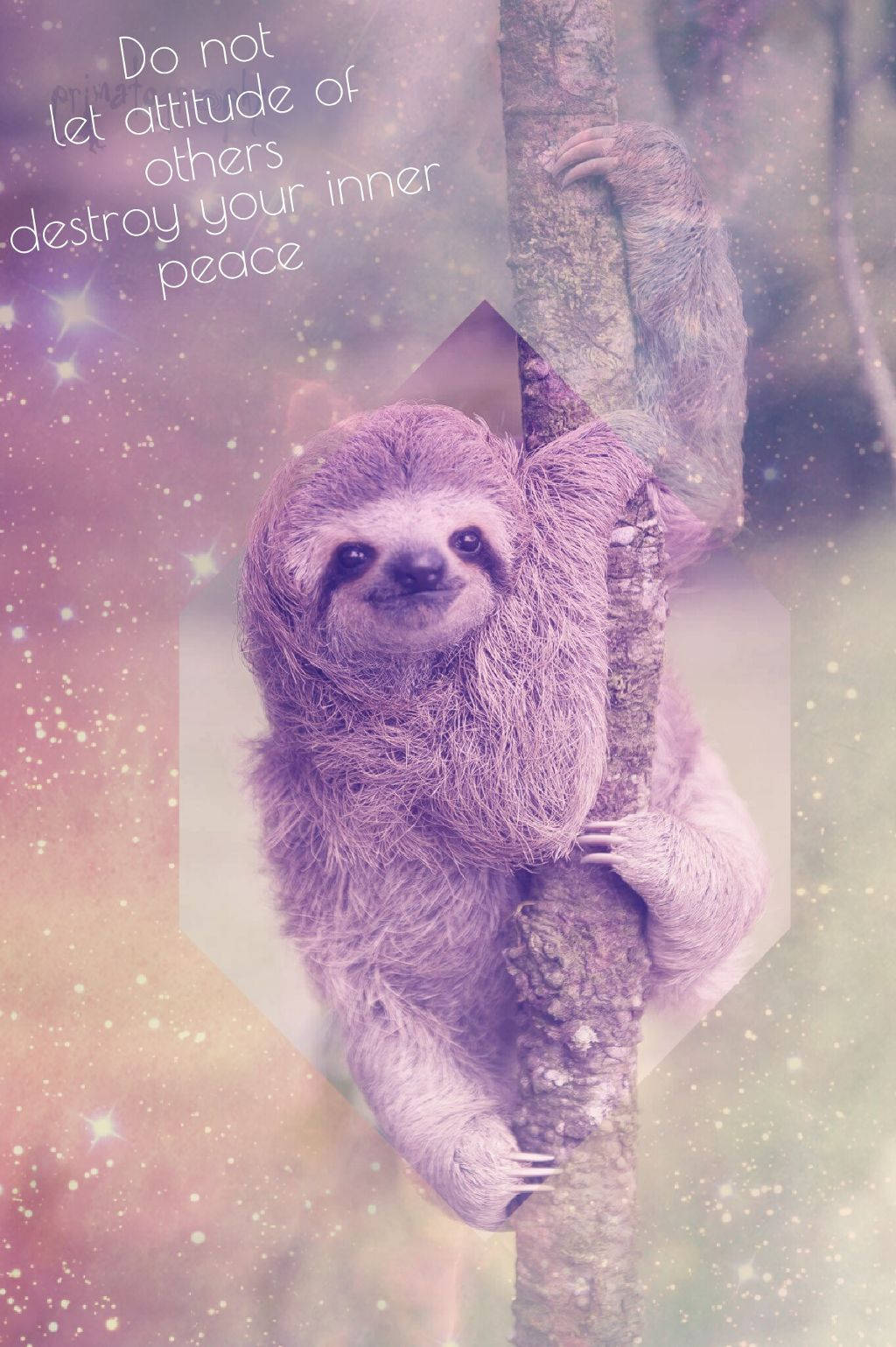 1024X1539 Sloth Wallpaper and Background