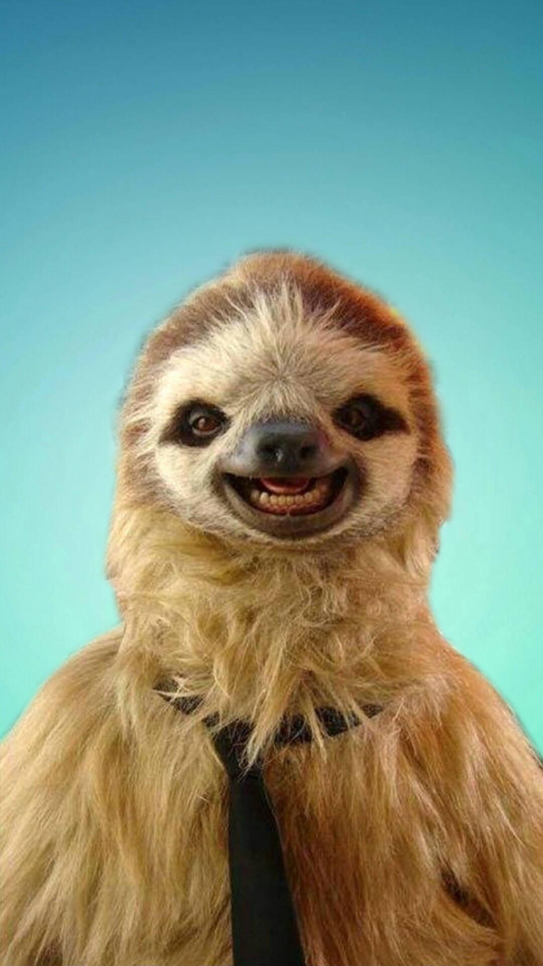 Sloth 1080X1920 Wallpaper and Background Image