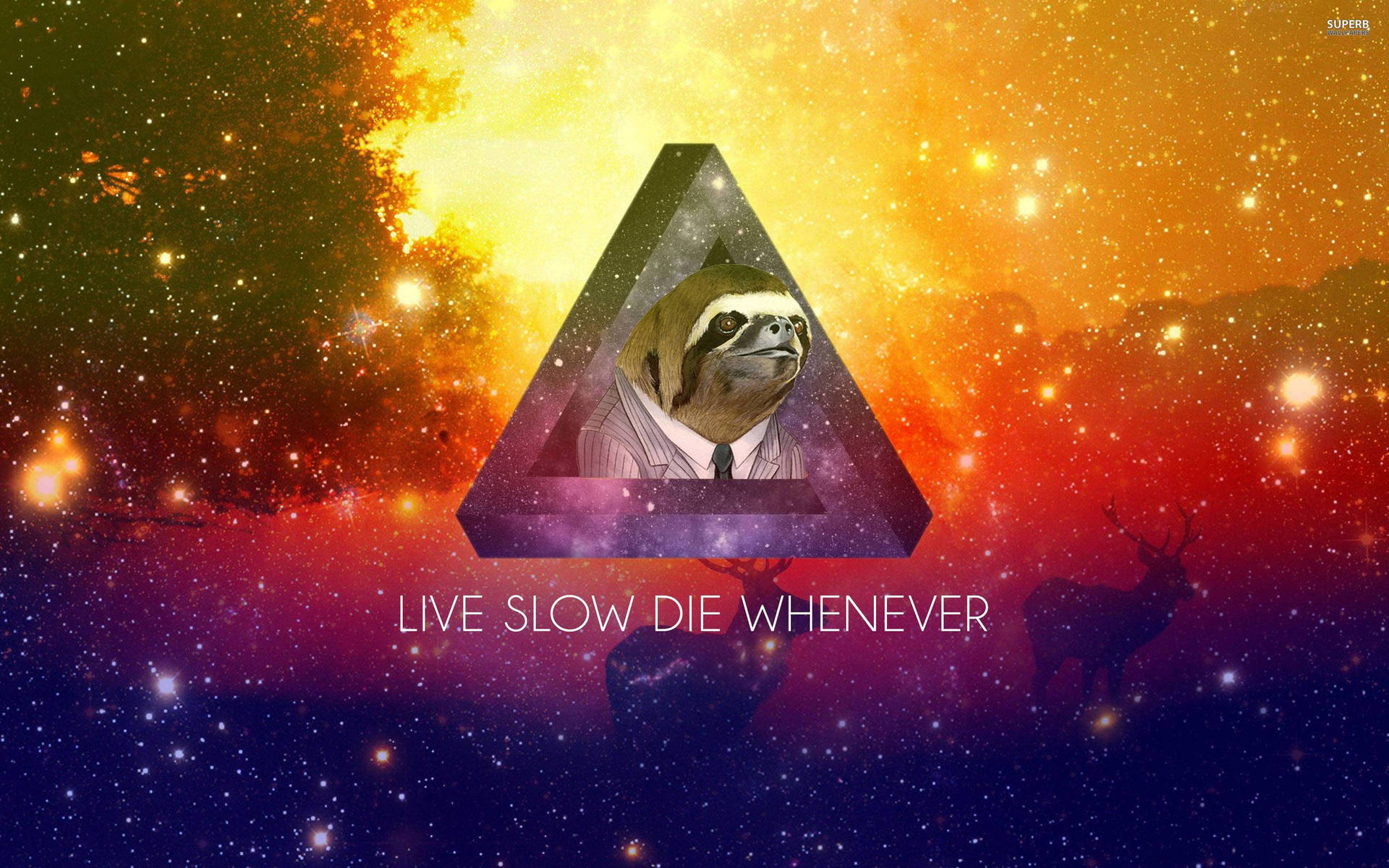 2880X1800 Sloth Wallpaper and Background