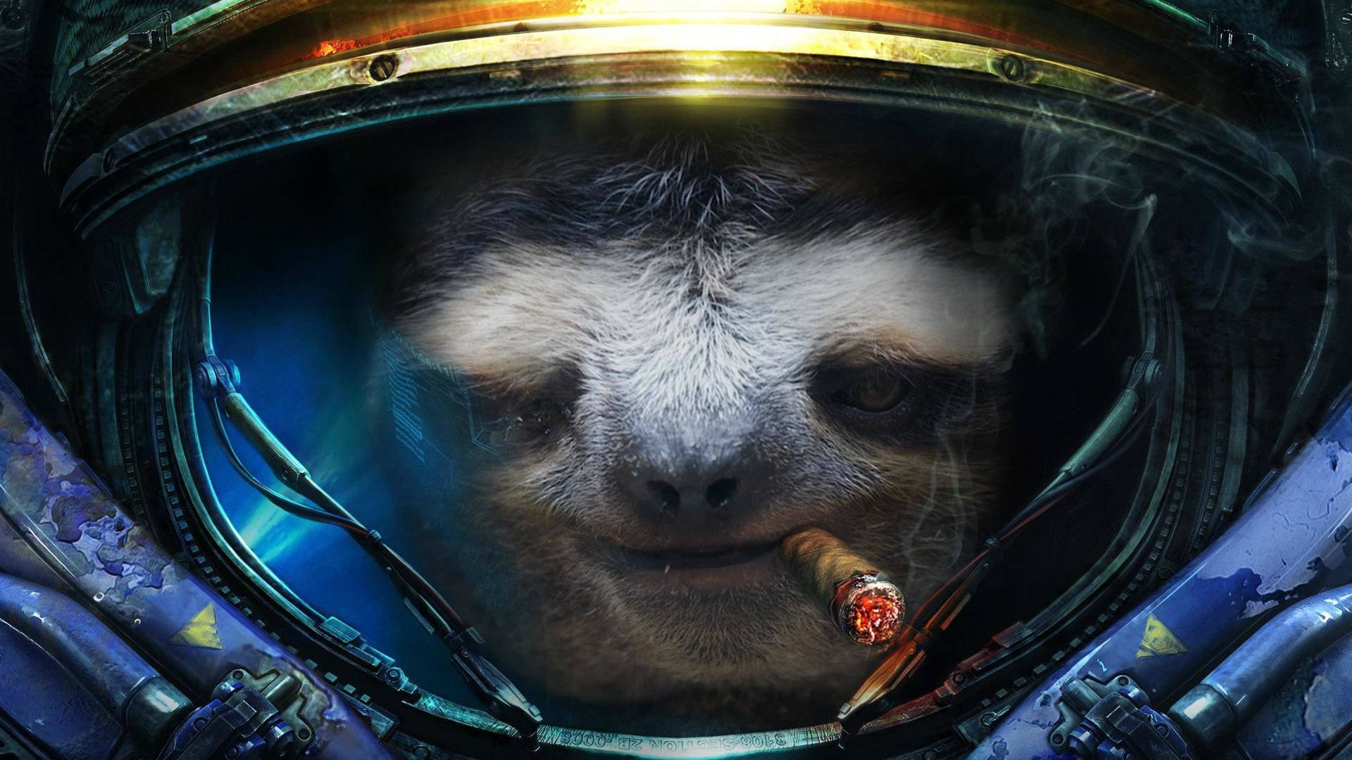 3840X2160 Sloth Wallpaper and Background
