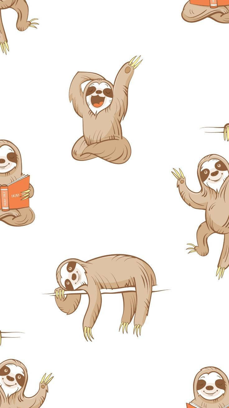 736X1308 Sloth Wallpaper and Background