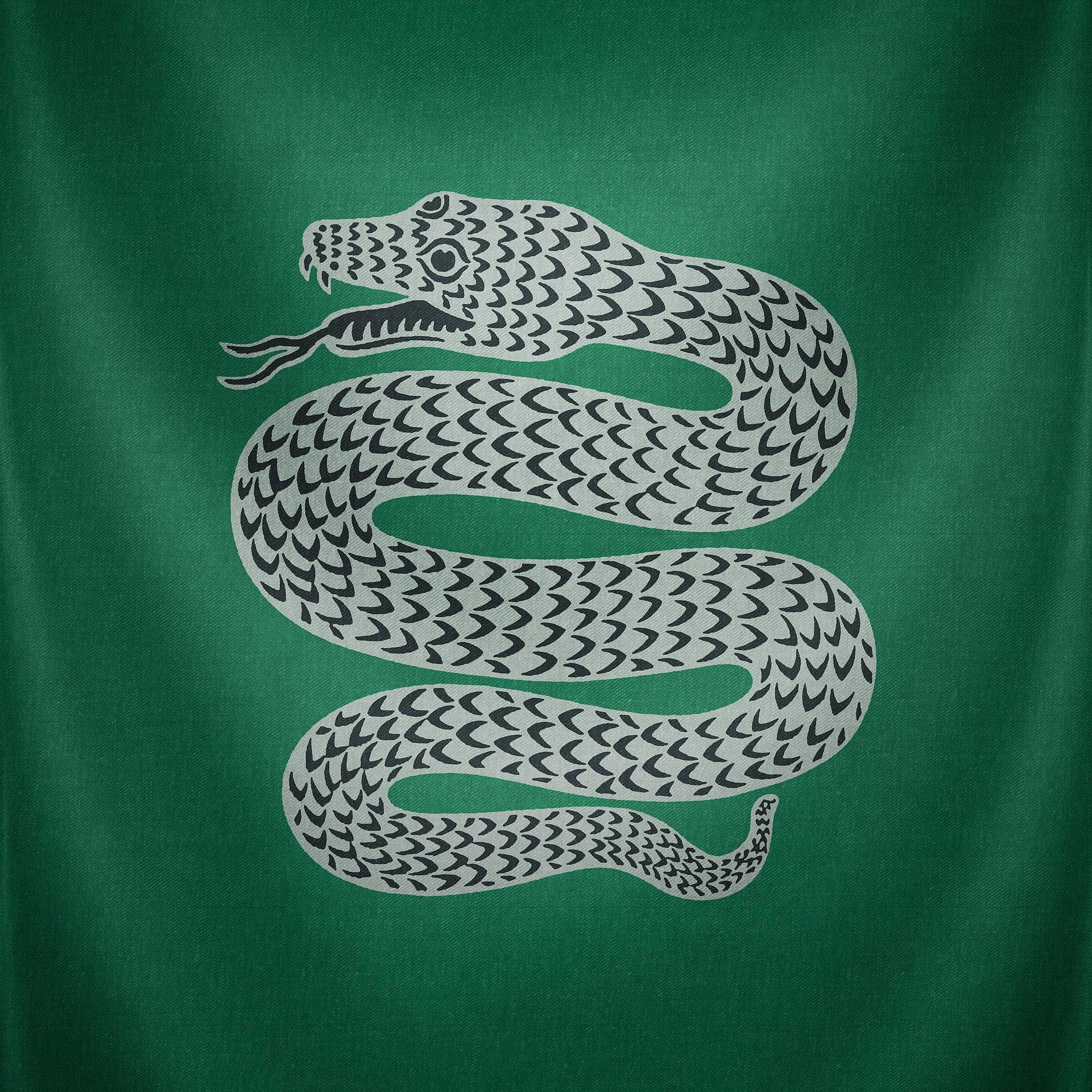 2048X2048 Slytherin Aesthetic Wallpaper and Background