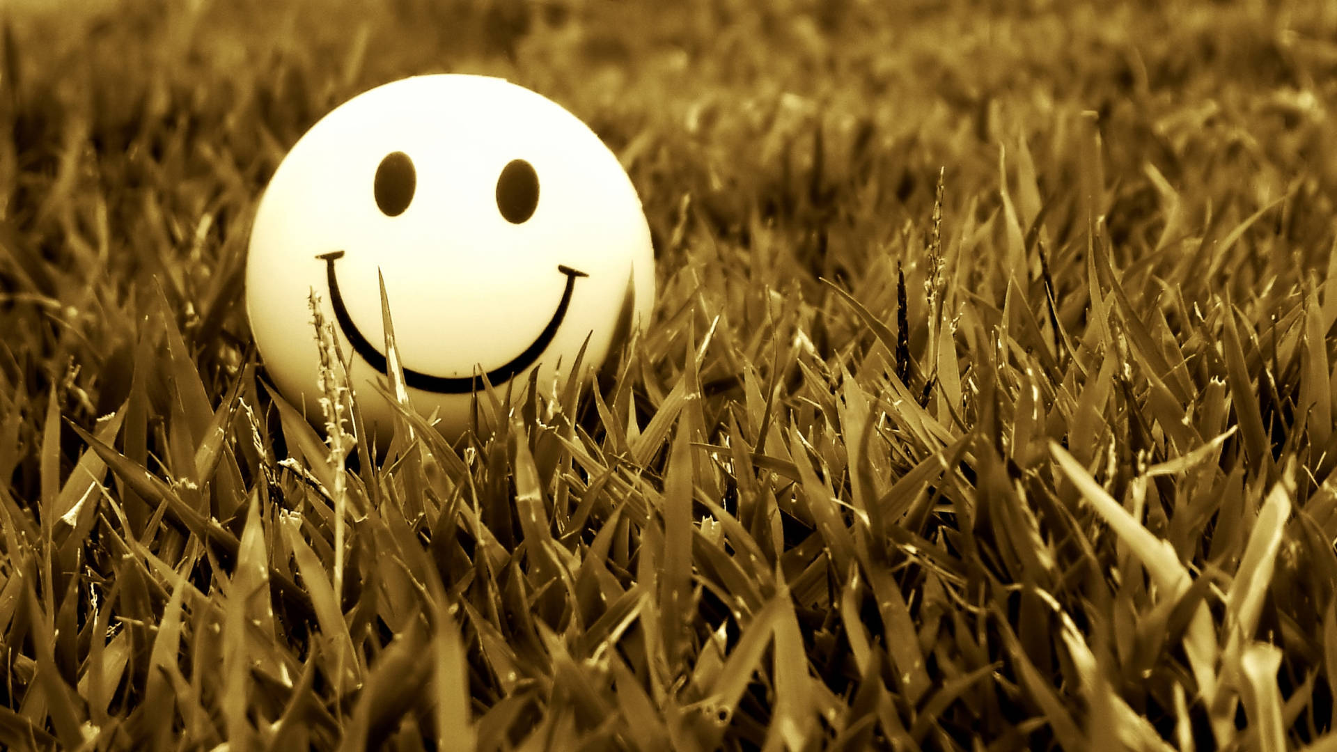 Smile 2560X1440 Wallpaper and Background Image