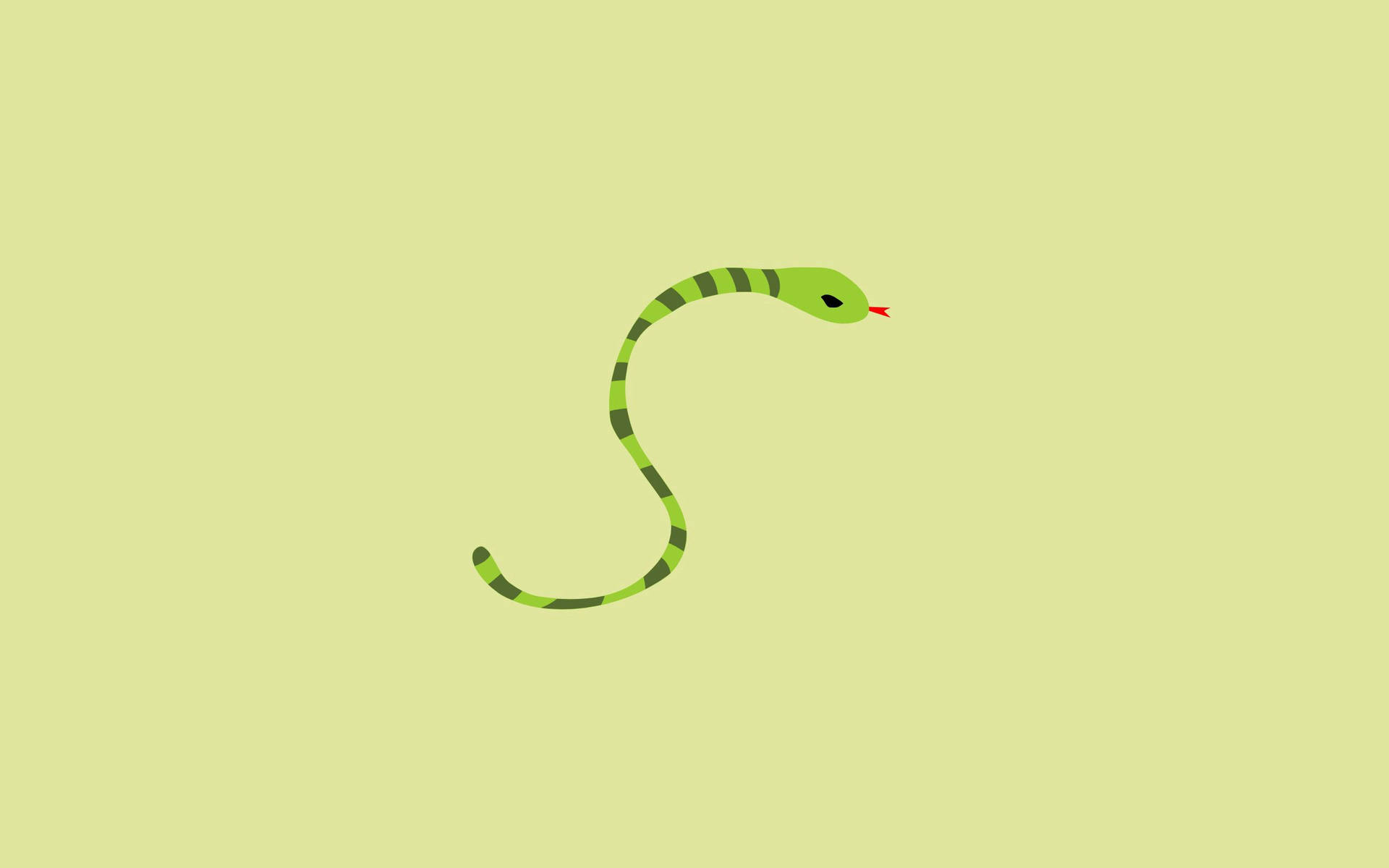 2560X1600 Snake Wallpaper and Background