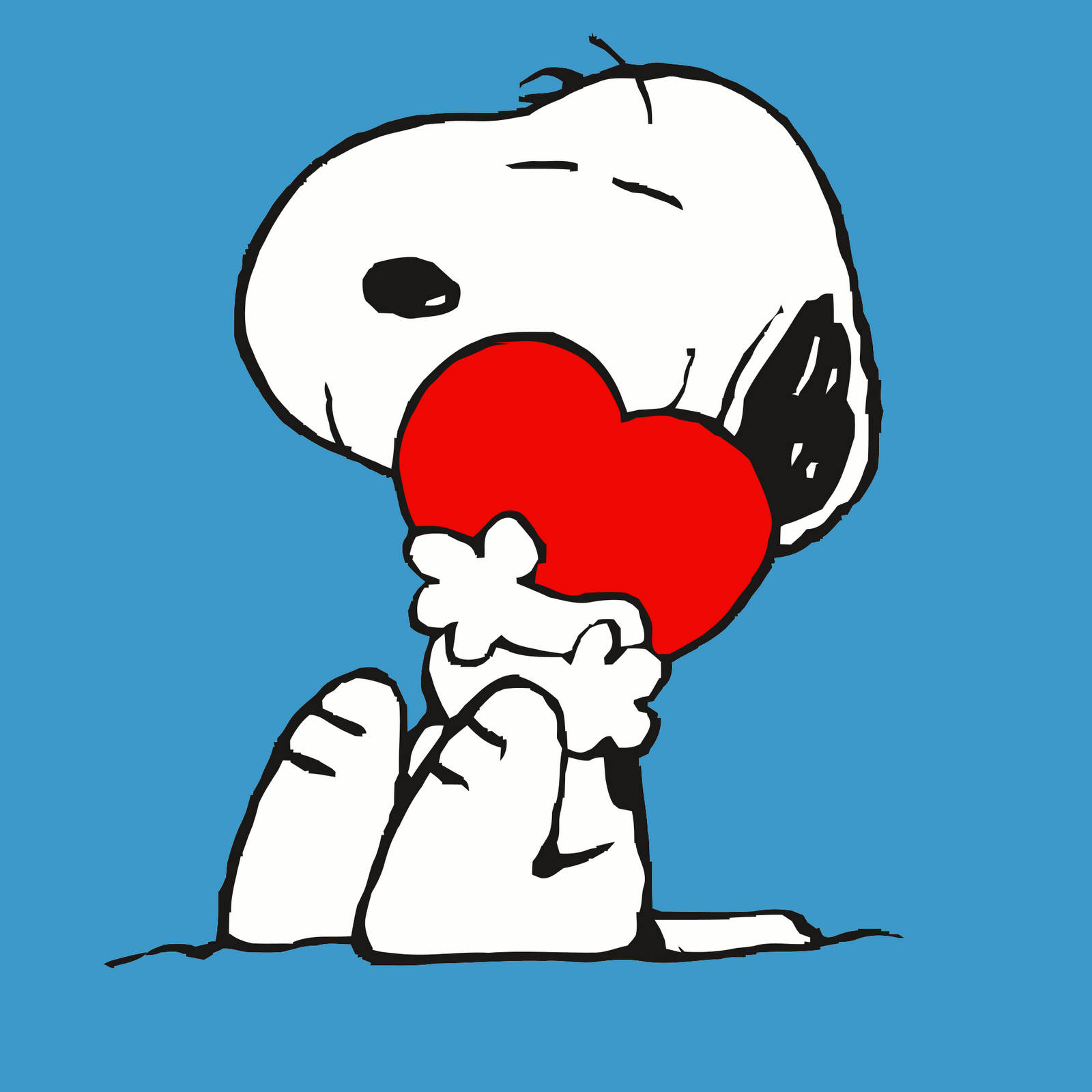 1600X1600 Snoopy Wallpaper and Background