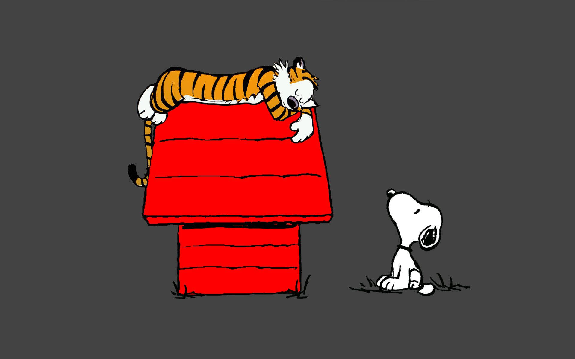 Snoopy 1920X1200 Wallpaper and Background Image