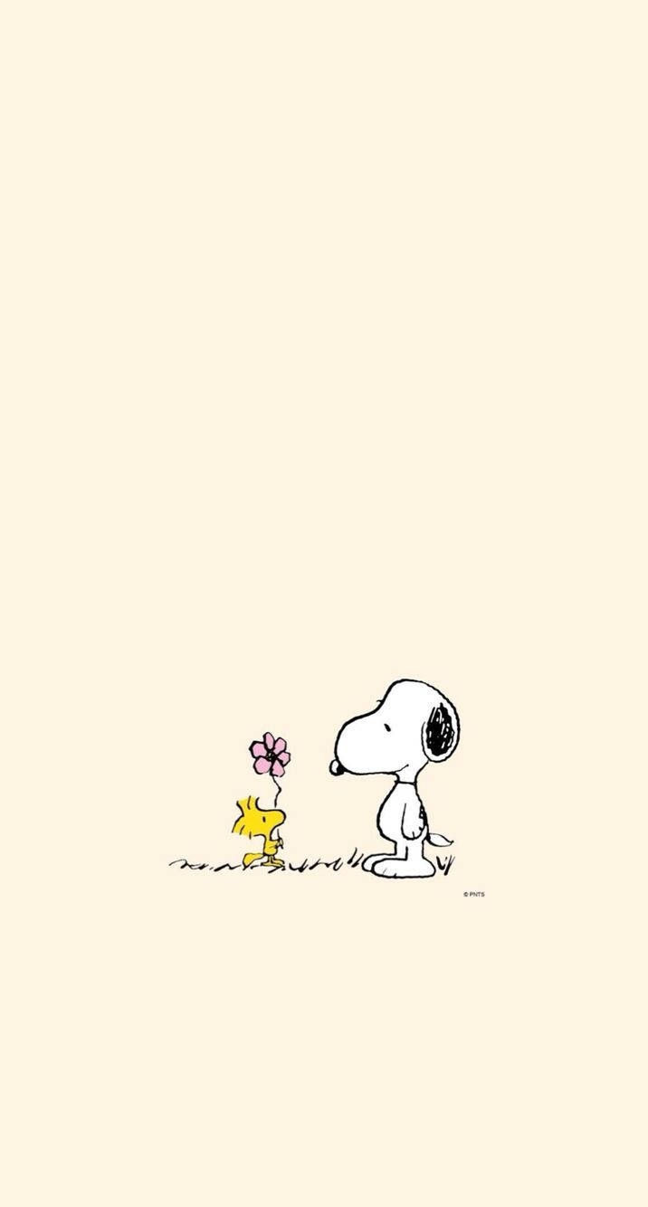 716X1334 Snoopy Wallpaper and Background