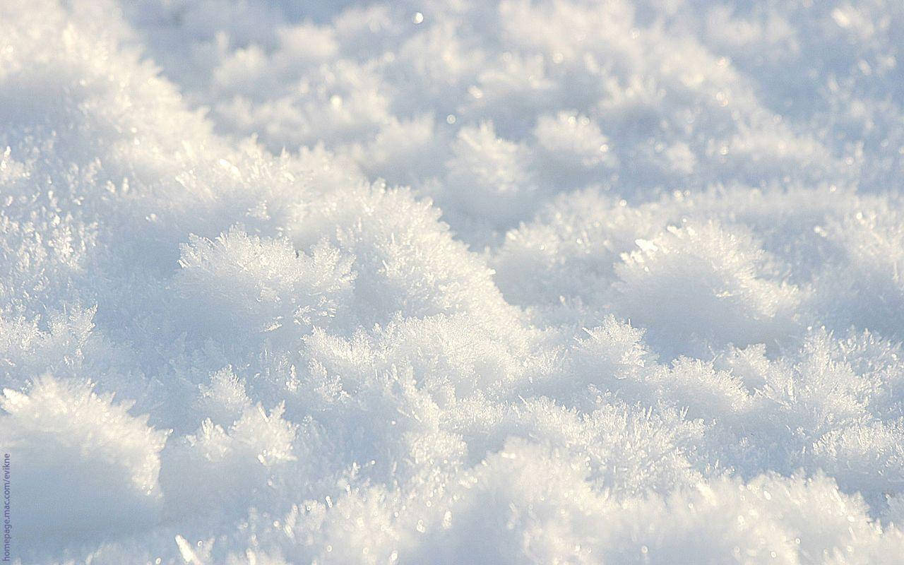 Snow 1280X800 Wallpaper and Background Image
