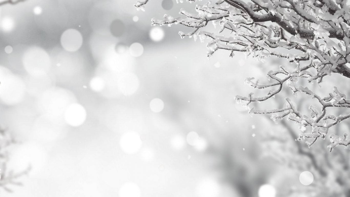 1366X768 Snow Wallpaper and Background