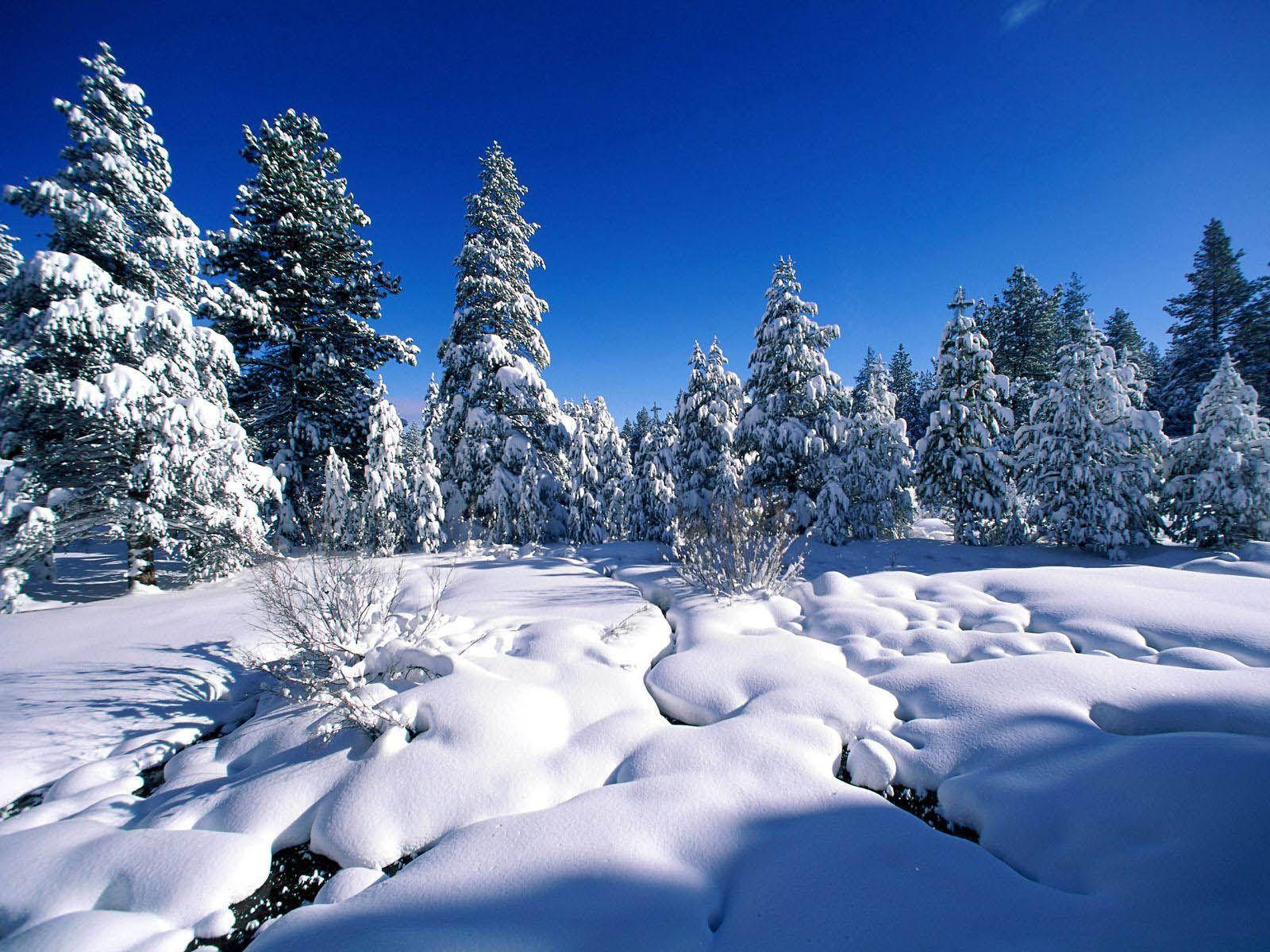 1600X1200 Snow Wallpaper and Background