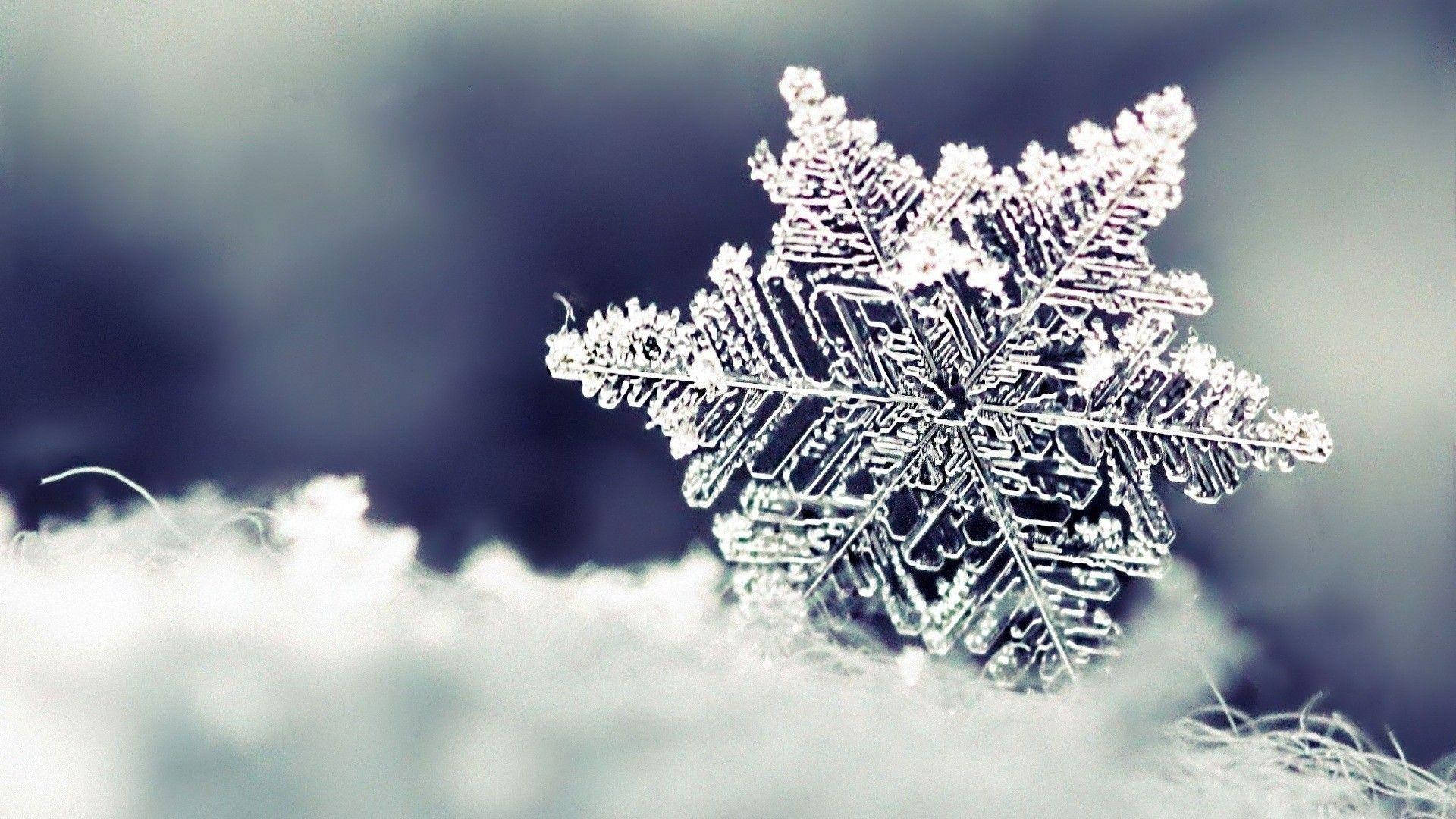 Snow 1920X1080 Wallpaper and Background Image