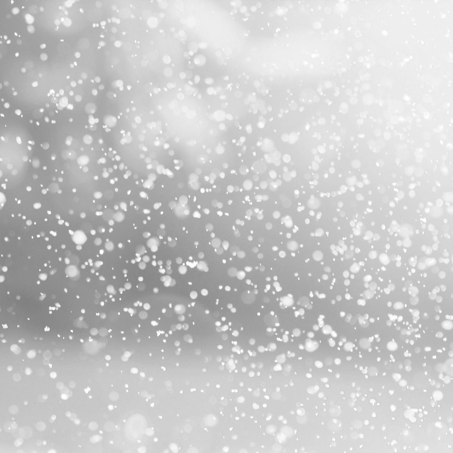 Snow 2524X2524 Wallpaper and Background Image