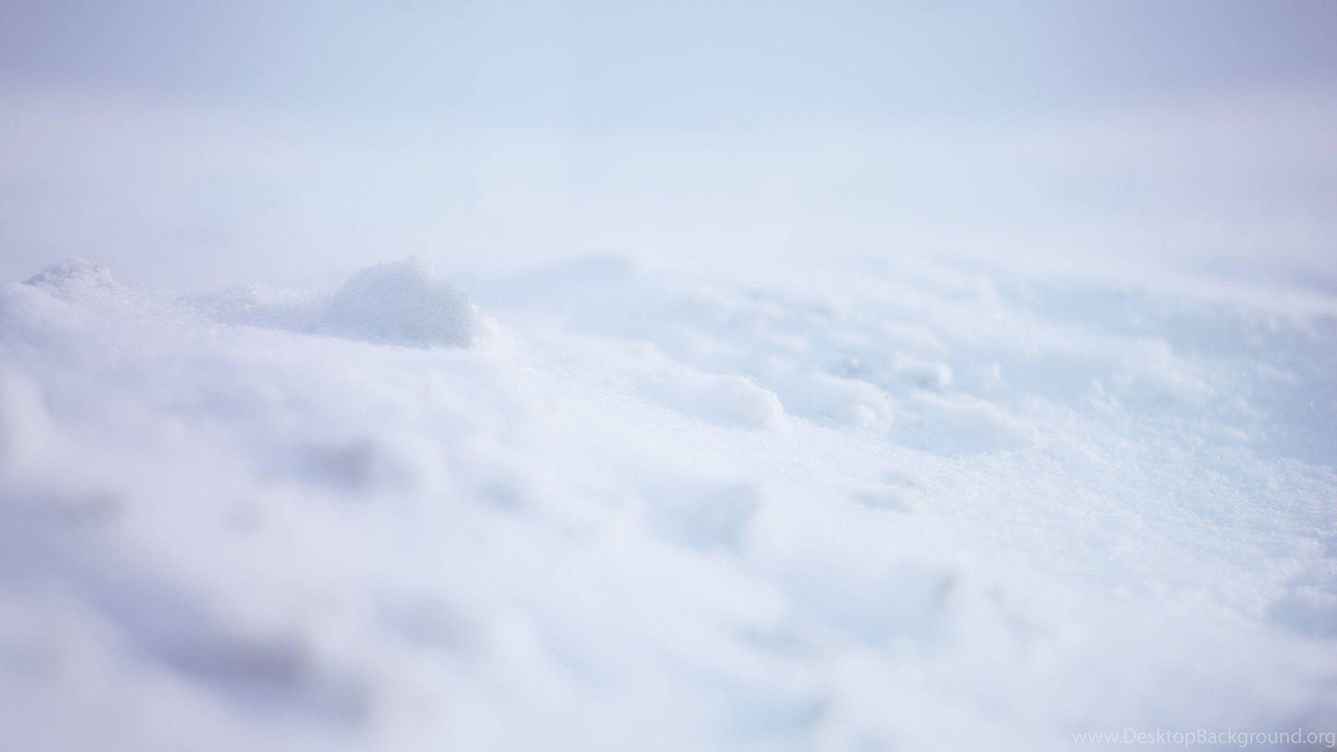 Snow 2560X1440 Wallpaper and Background Image