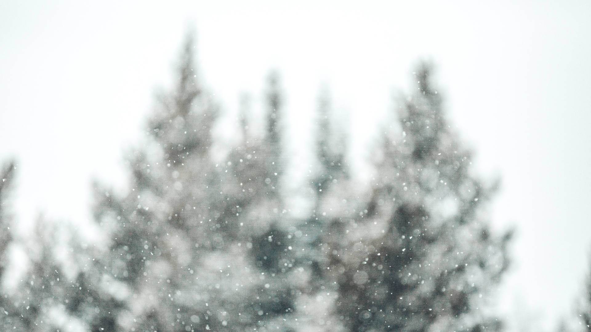 Snow 5760X3240 Wallpaper and Background Image