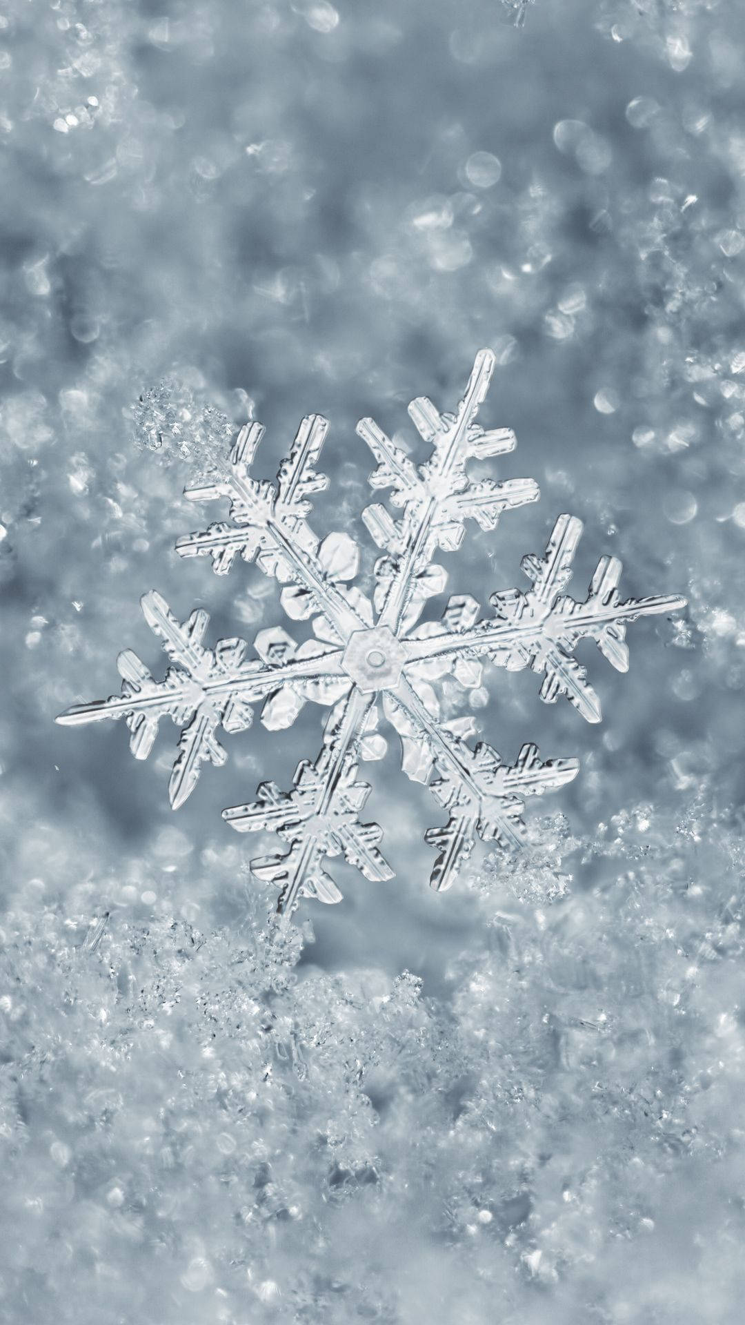 Snowflake 1080X1920 Wallpaper and Background Image