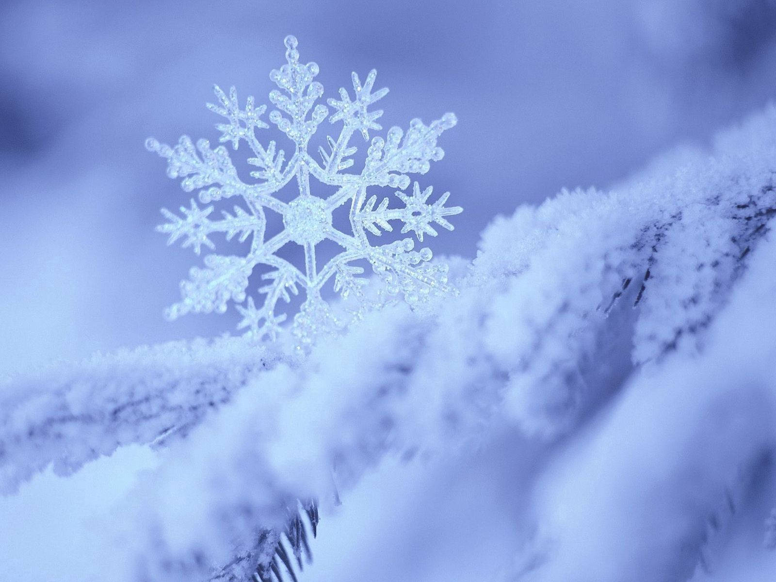 Snowflake 1600X1200 Wallpaper and Background Image