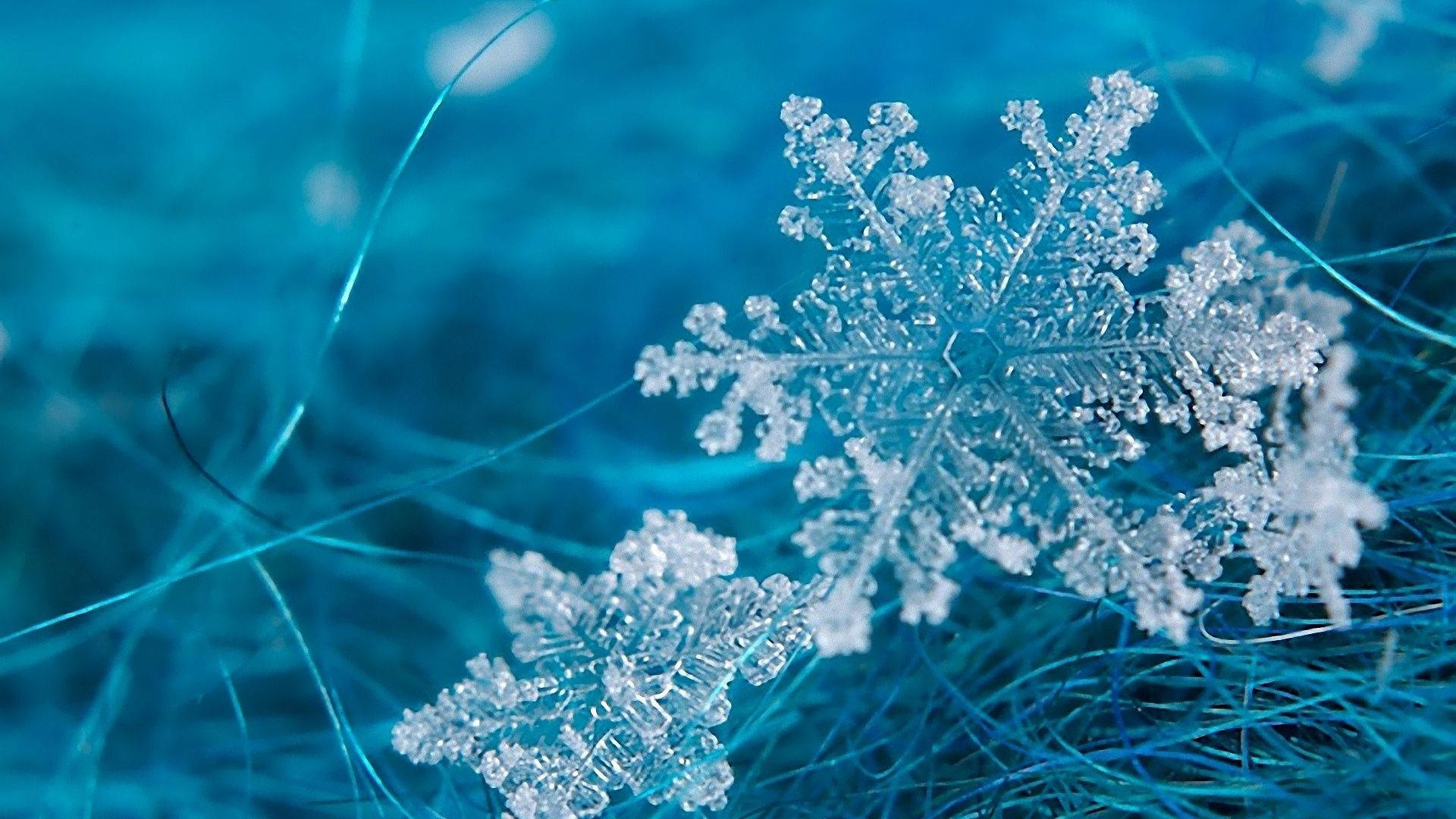 1920X1080 Snowflake Wallpaper and Background
