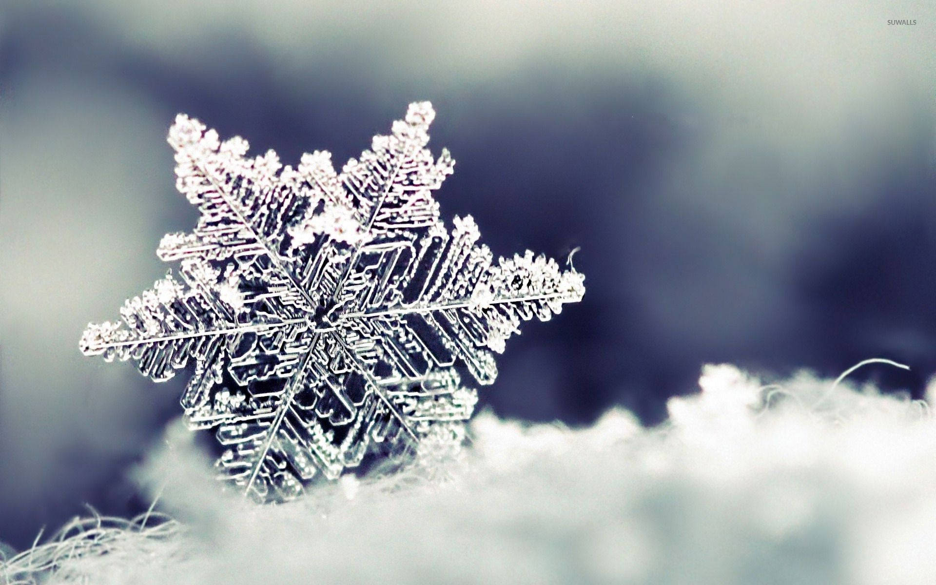 1920X1200 Snowflake Wallpaper and Background
