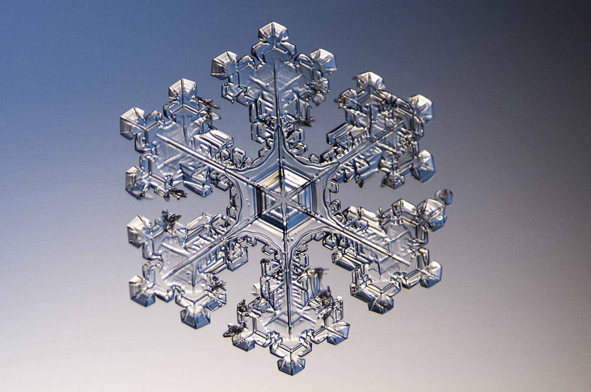 Snowflake 2000X1328 Wallpaper and Background Image