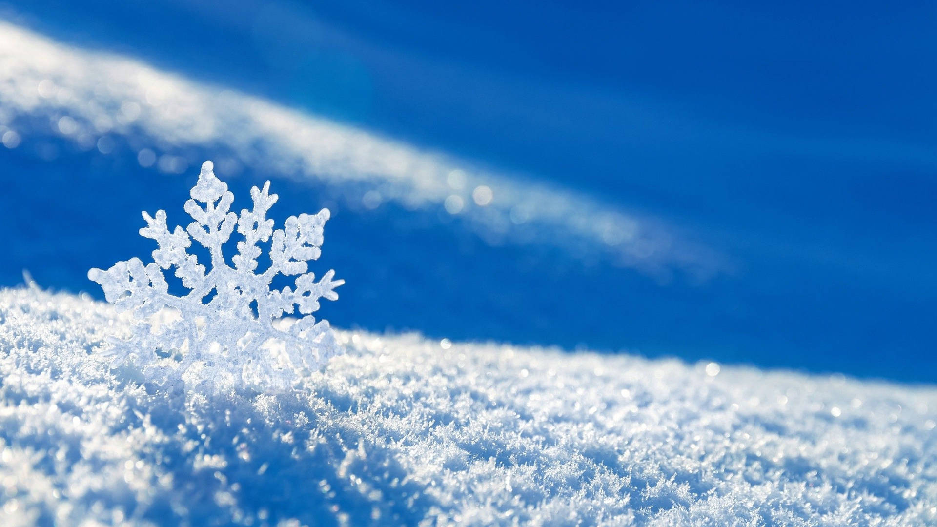 Snowflake 2560X1440 Wallpaper and Background Image