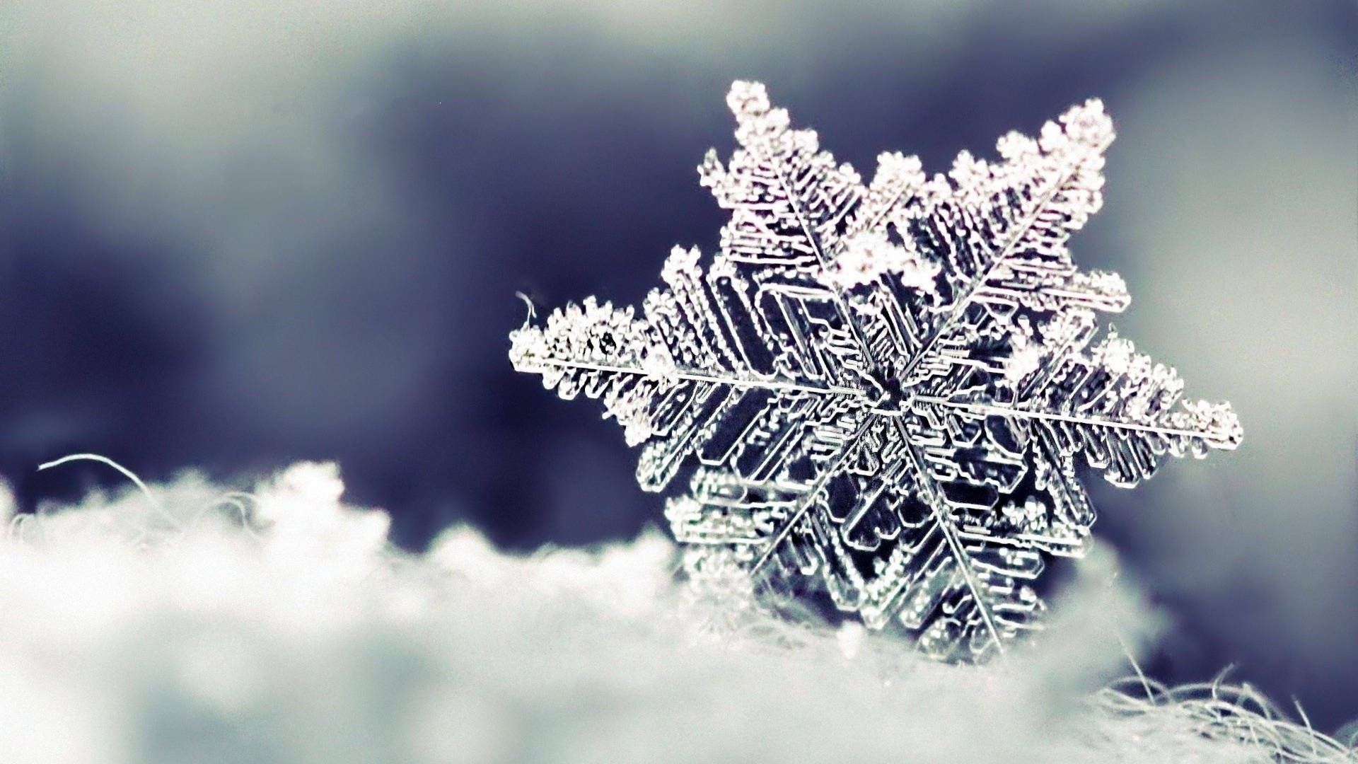 3840X2160 Snowflake Wallpaper and Background