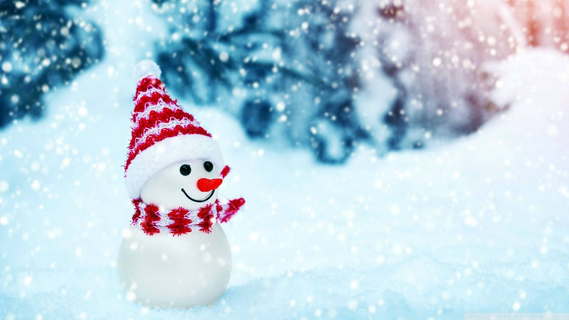 Snowman 1920X1080 Wallpaper and Background Image