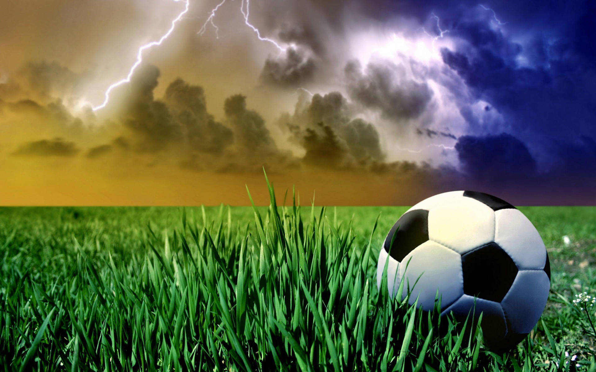 Soccer 2560X1600 Wallpaper and Background Image