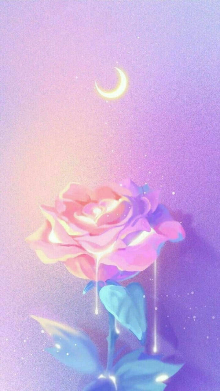 720X1280 Soft Aesthetic Wallpaper and Background