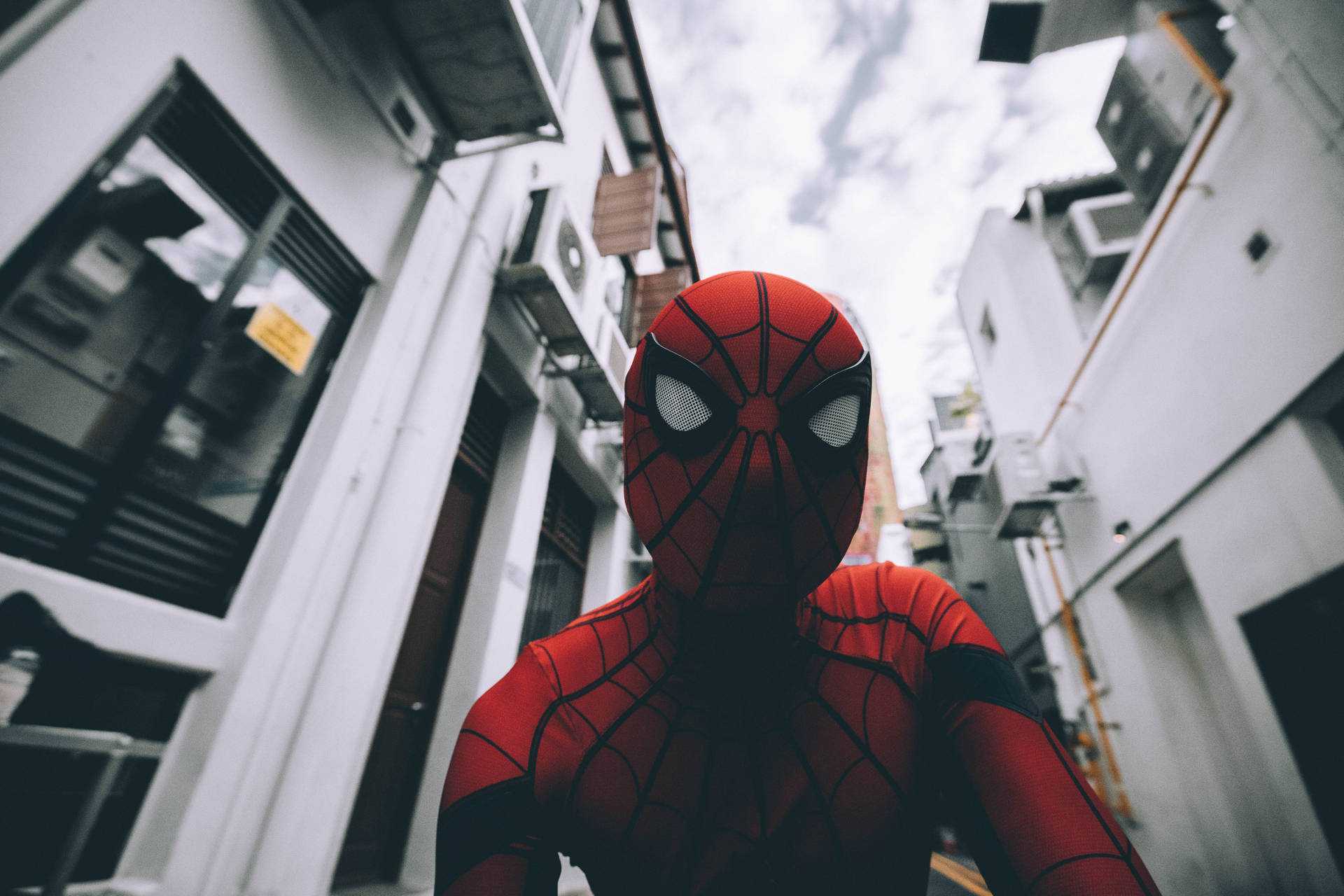 Spiderman 6000X4000 Wallpaper and Background Image