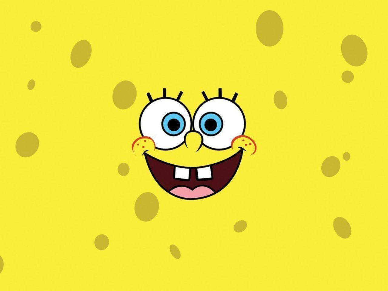 Spongebob 1280X960 Wallpaper and Background Image