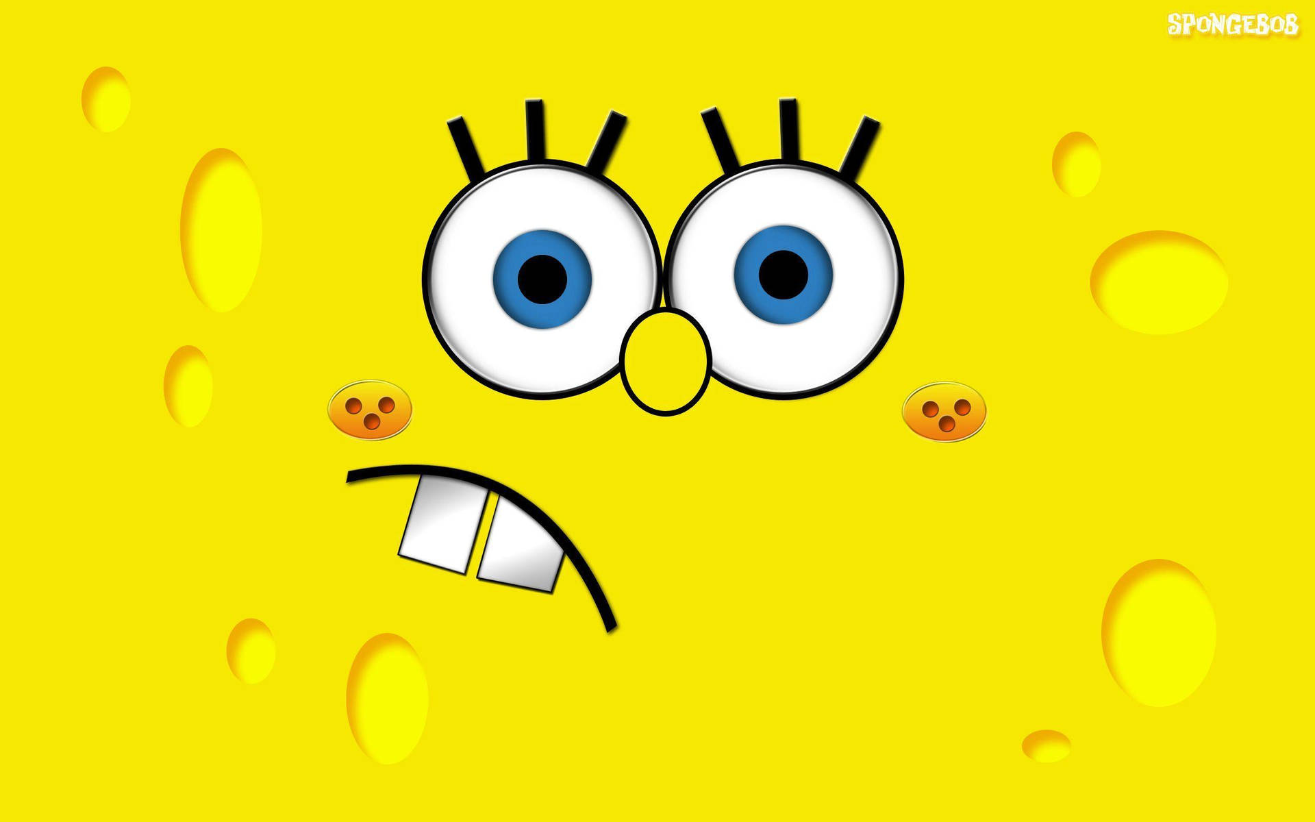 Spongebob 2560X1600 Wallpaper and Background Image