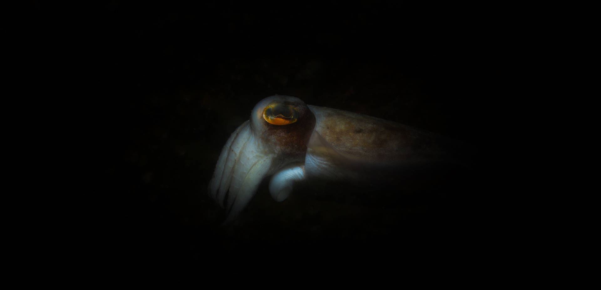 Squid Game 7360X3554 Wallpaper and Background Image