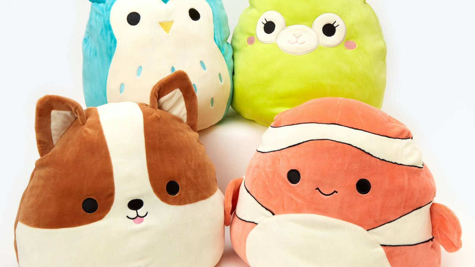Squishmallows 1600X900 Wallpaper and Background Image