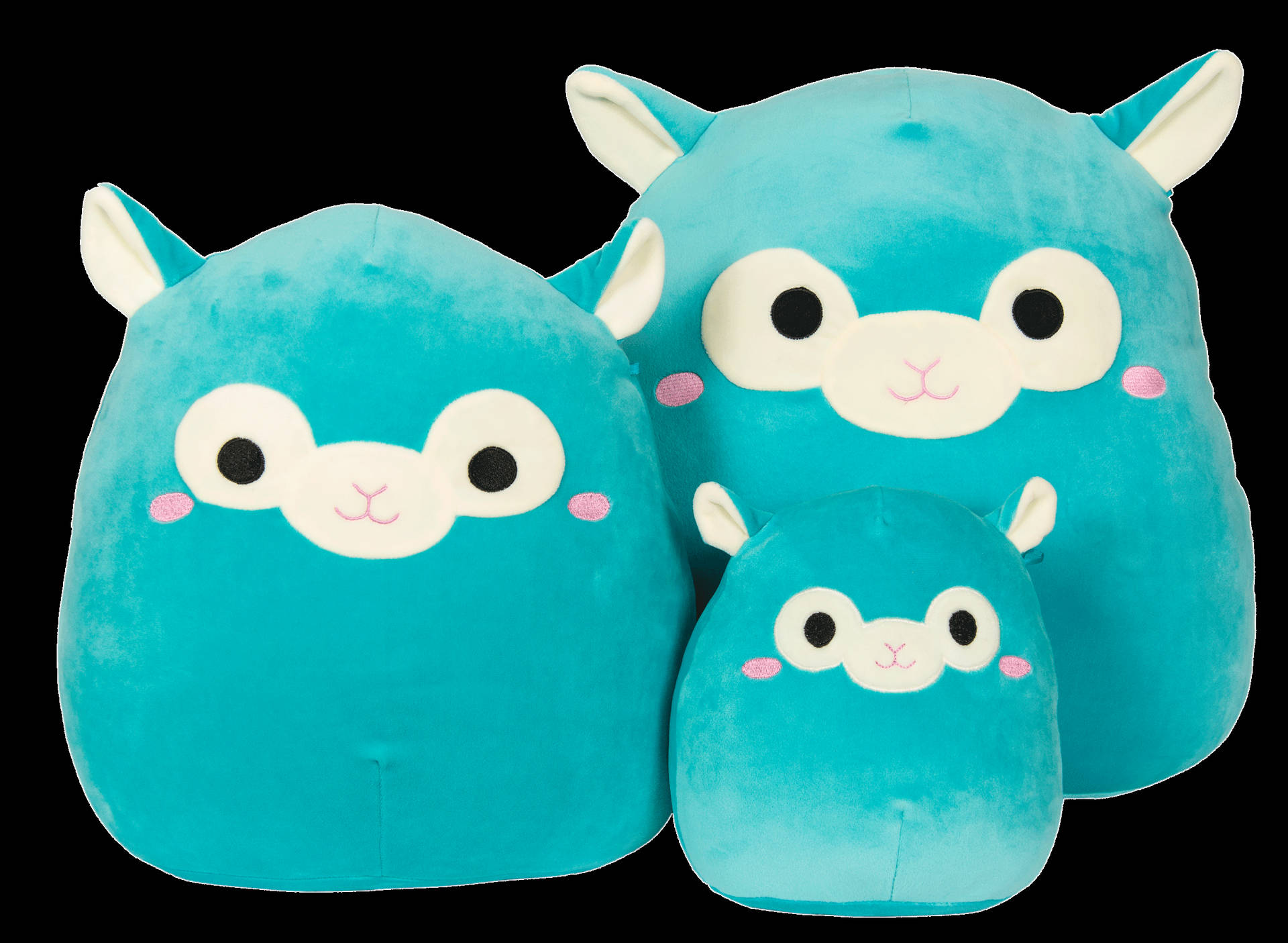 2453X1795 Squishmallows Wallpaper and Background