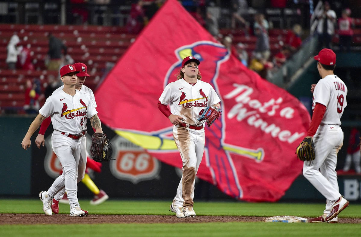 1200X789 St Louis Cardinals Wallpaper and Background