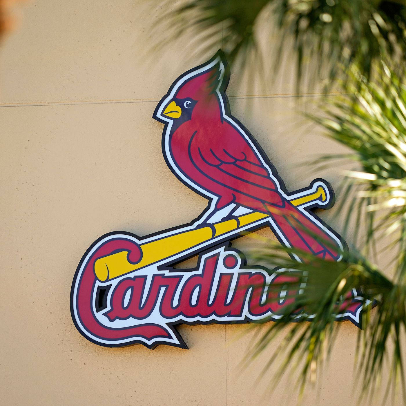 St Louis Cardinals 1400X1400 Wallpaper and Background Image