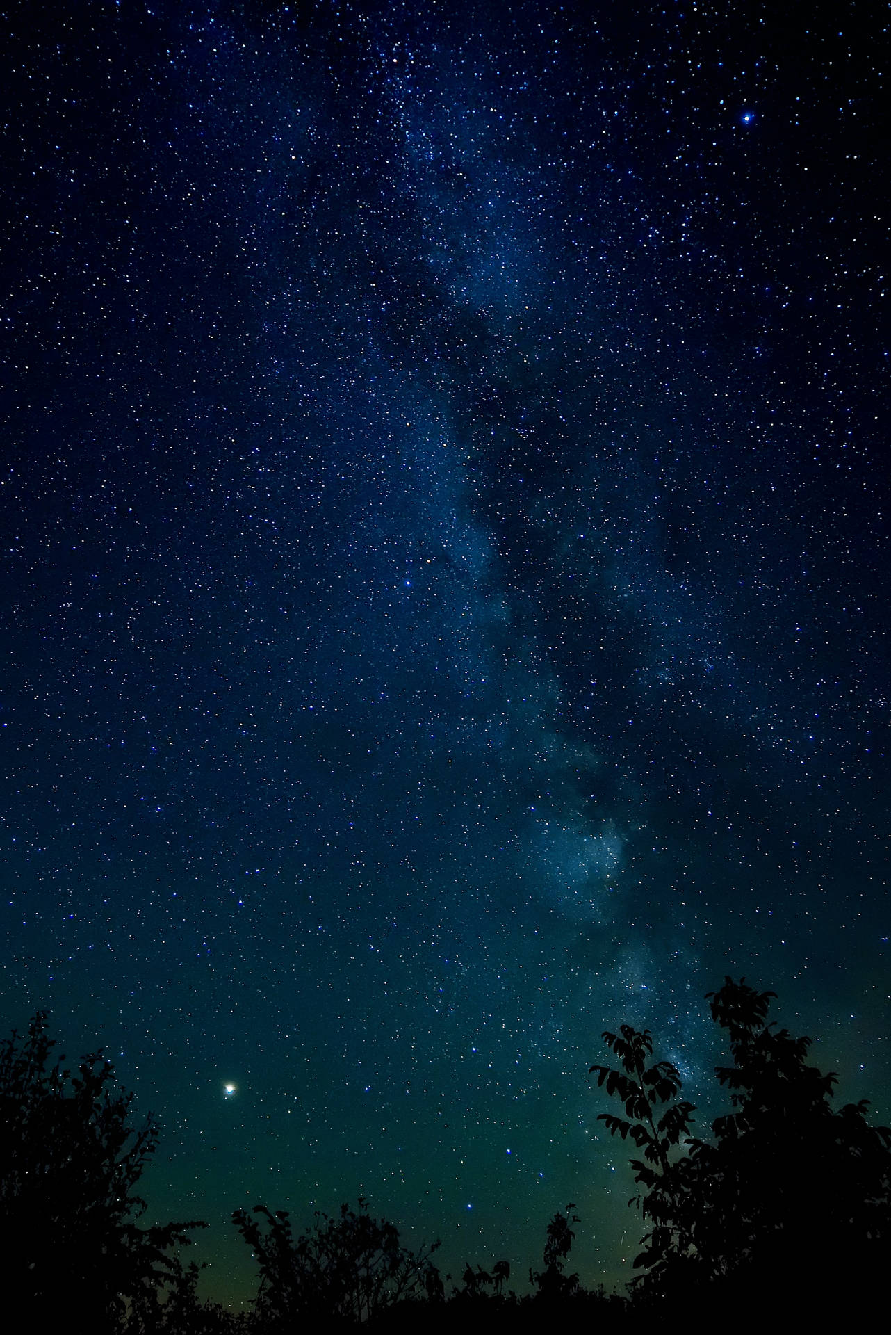 Starry Night 2669X3998 Wallpaper and Background Image