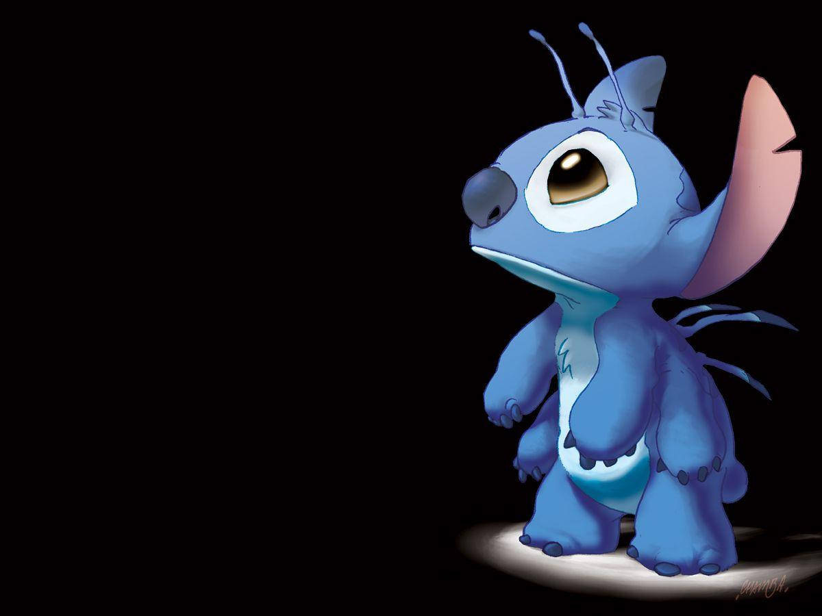 Stitch 1200X900 Wallpaper and Background Image