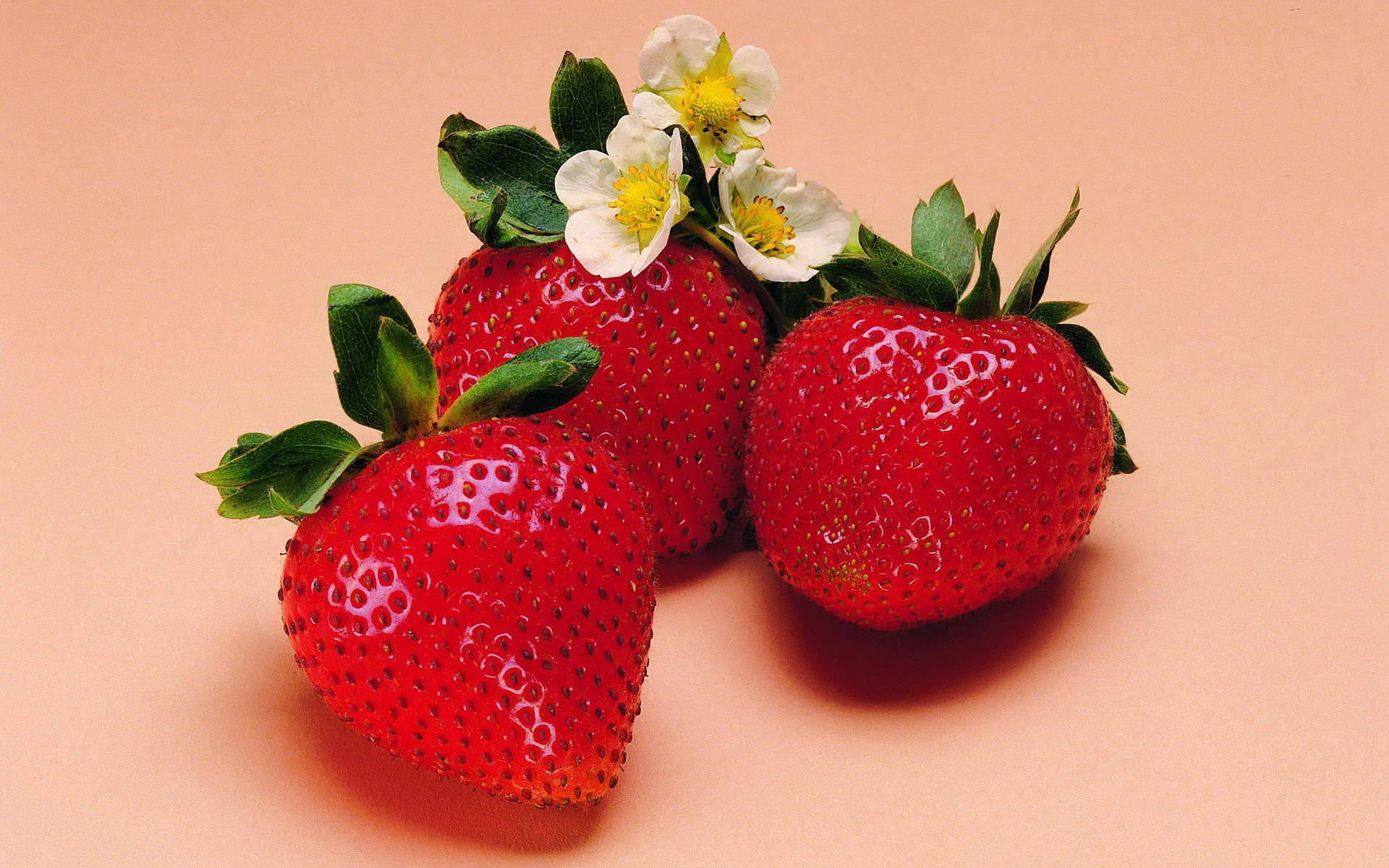 1920X1200 Strawberry Wallpaper and Background